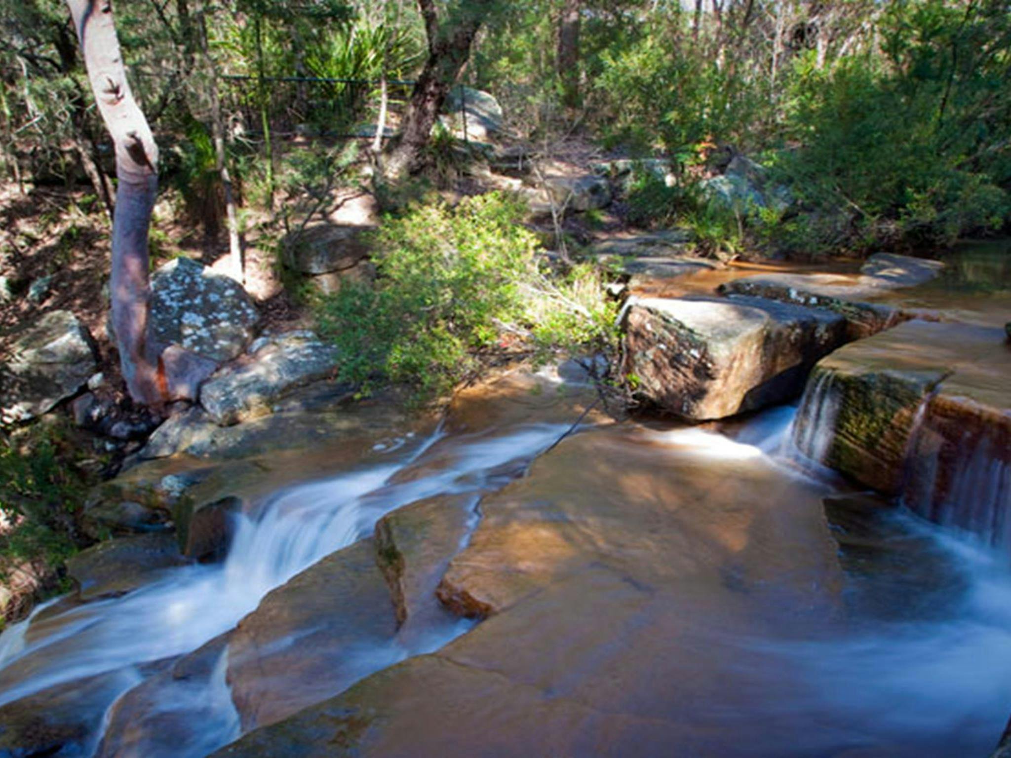 Kellys Falls picnic area, Garawarra State Conservation Area. Photo: Nick Cubbin &copy; OEH