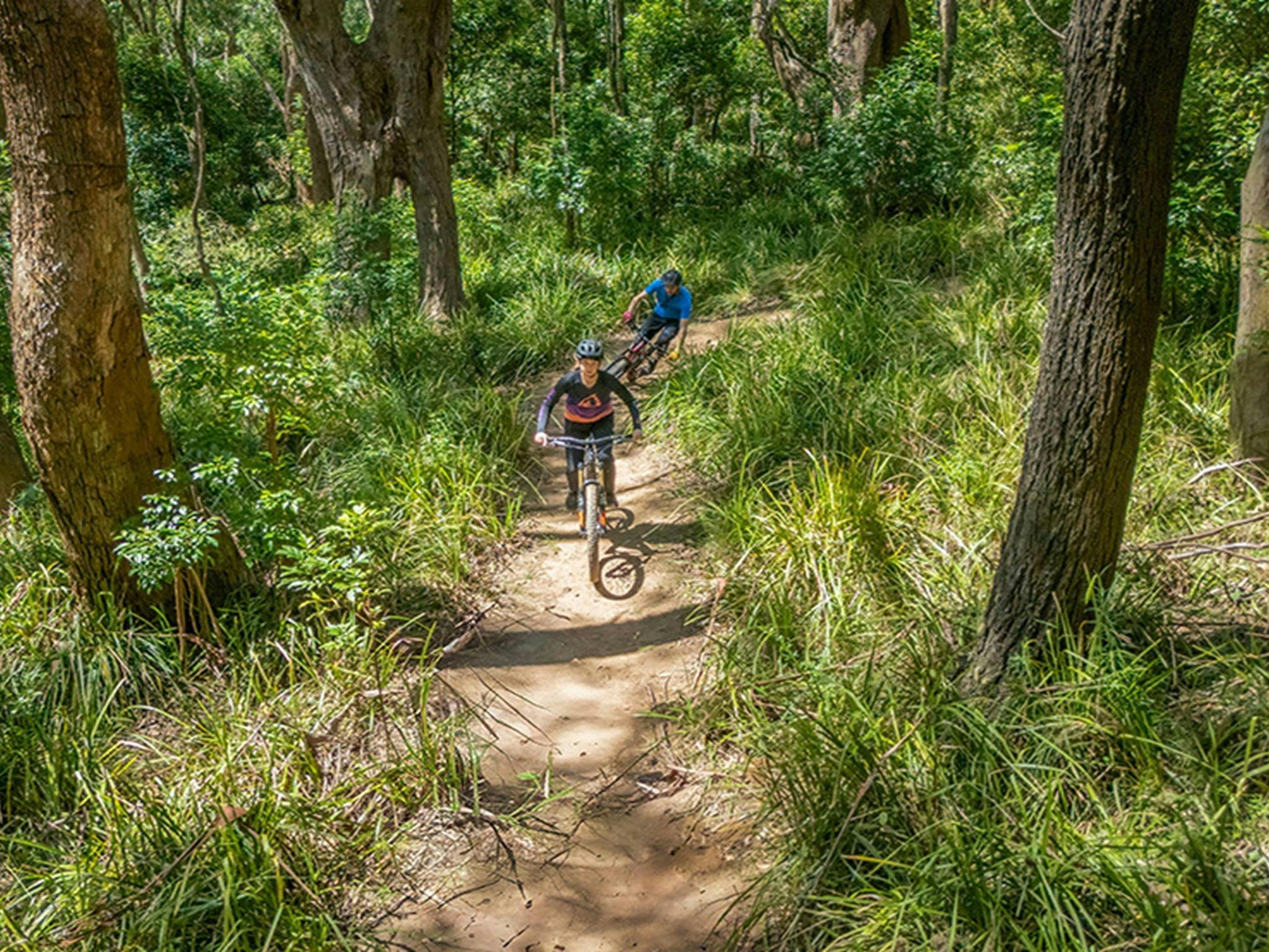 Two female mountain bikers peddle though beautiful bushland and tall forest on Mount Kembla. Credit: