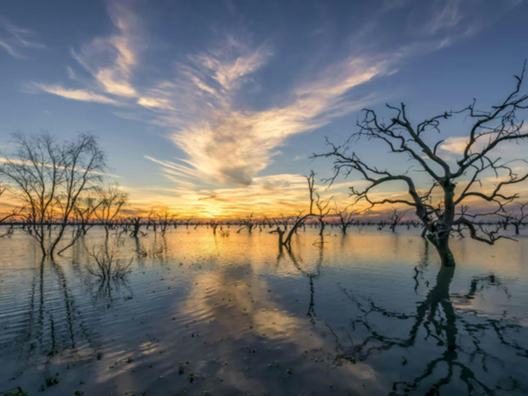 Lake Menindee, Kinchega National Park. Photo: John Spencer