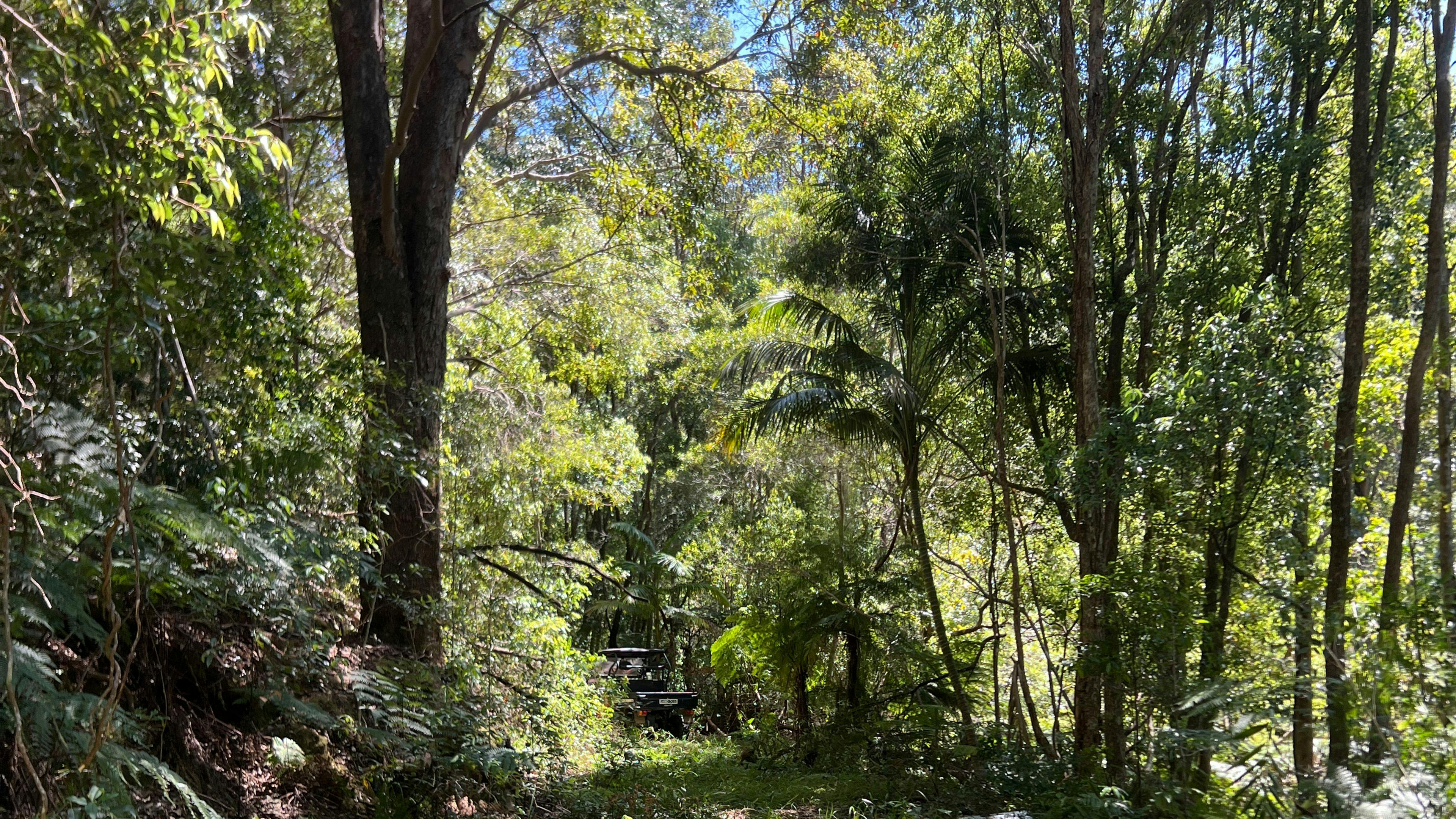 Tent site 1