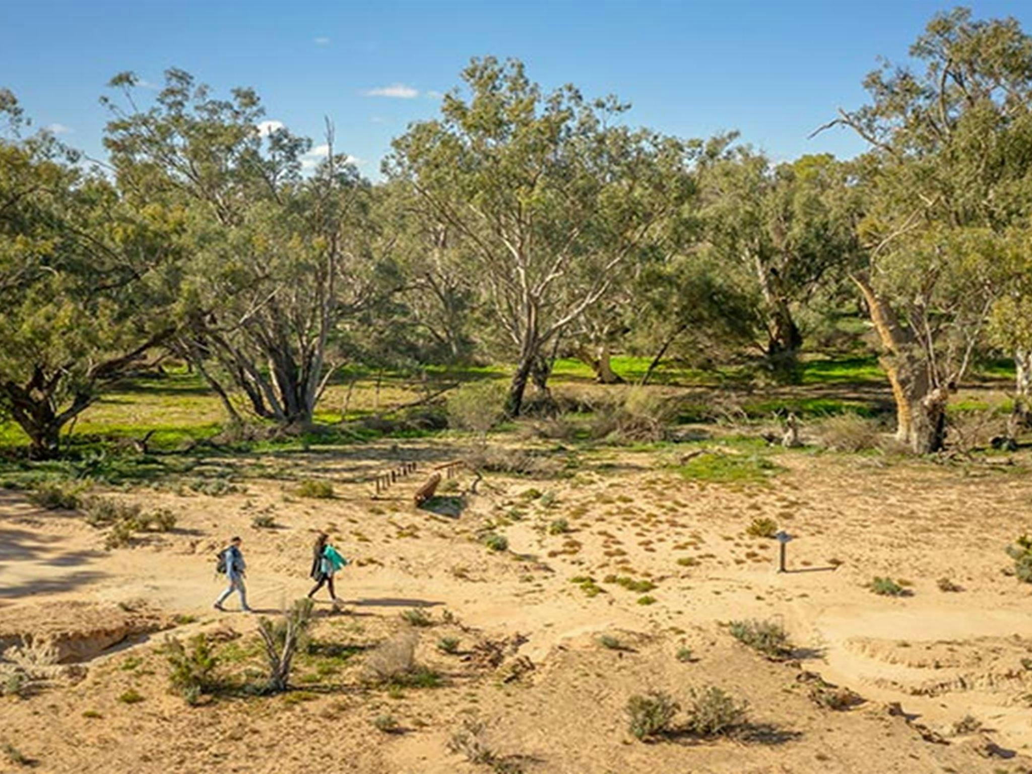 Aerial view of 2 walkers on the Kinchega Homestead billabong walk. Photo: John Spencer/DPIE