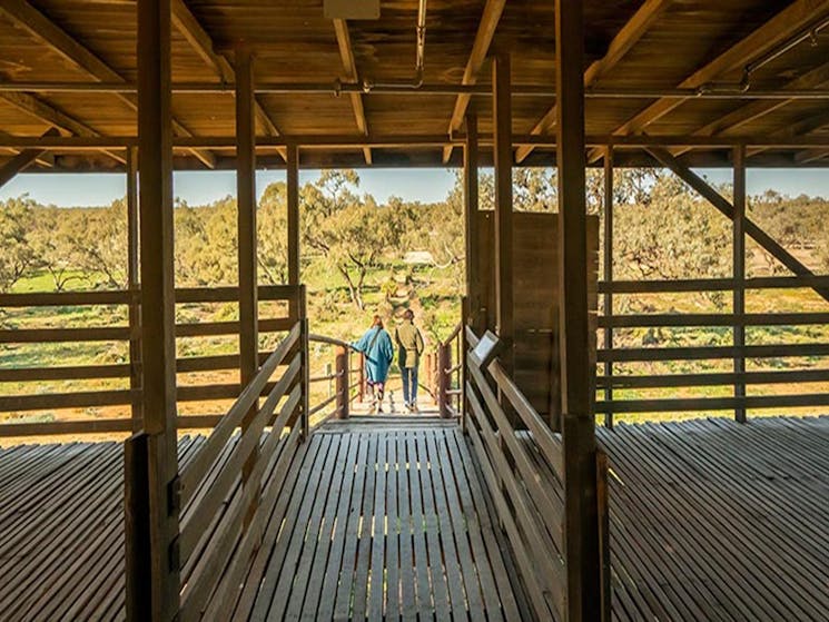 View of the trees from inside Kichega Woolshed. Photo: John Spencer/DPIE