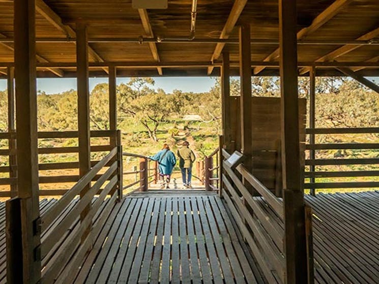 View of the trees from inside Kinchega Woolshed. Photo: John Spencer/DPIE