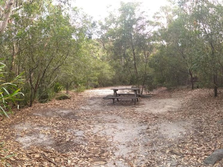 A picnic table in a clearing at Kingfisher Pool campground in Heathcote National Park. Photo: Jodie