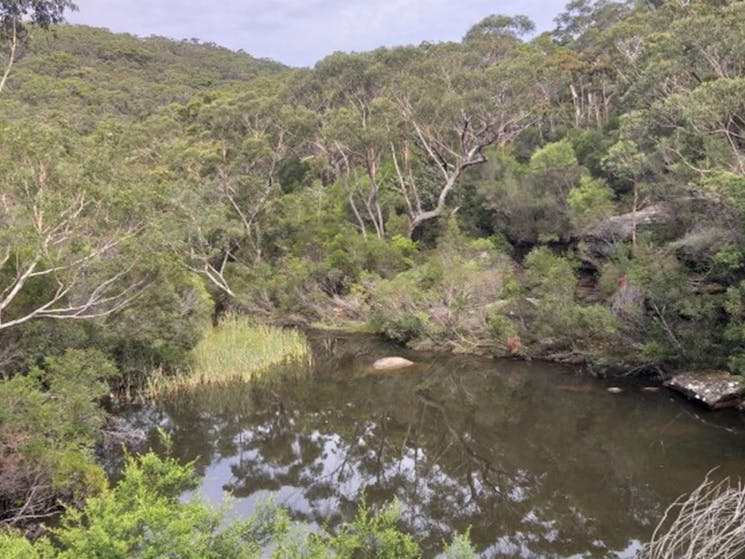 Kingfisher Pool in Heathcote National Park. Photo: Jodie McGill &copy; DPIE