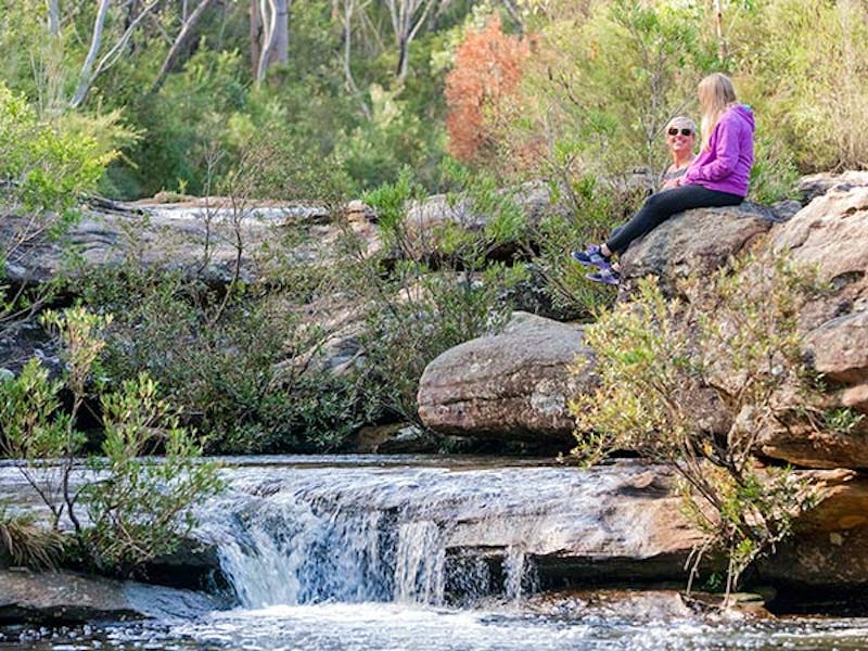 Kingfisher Pool picnic area, Heahtcote National Park. Photo: Nick Cubbin