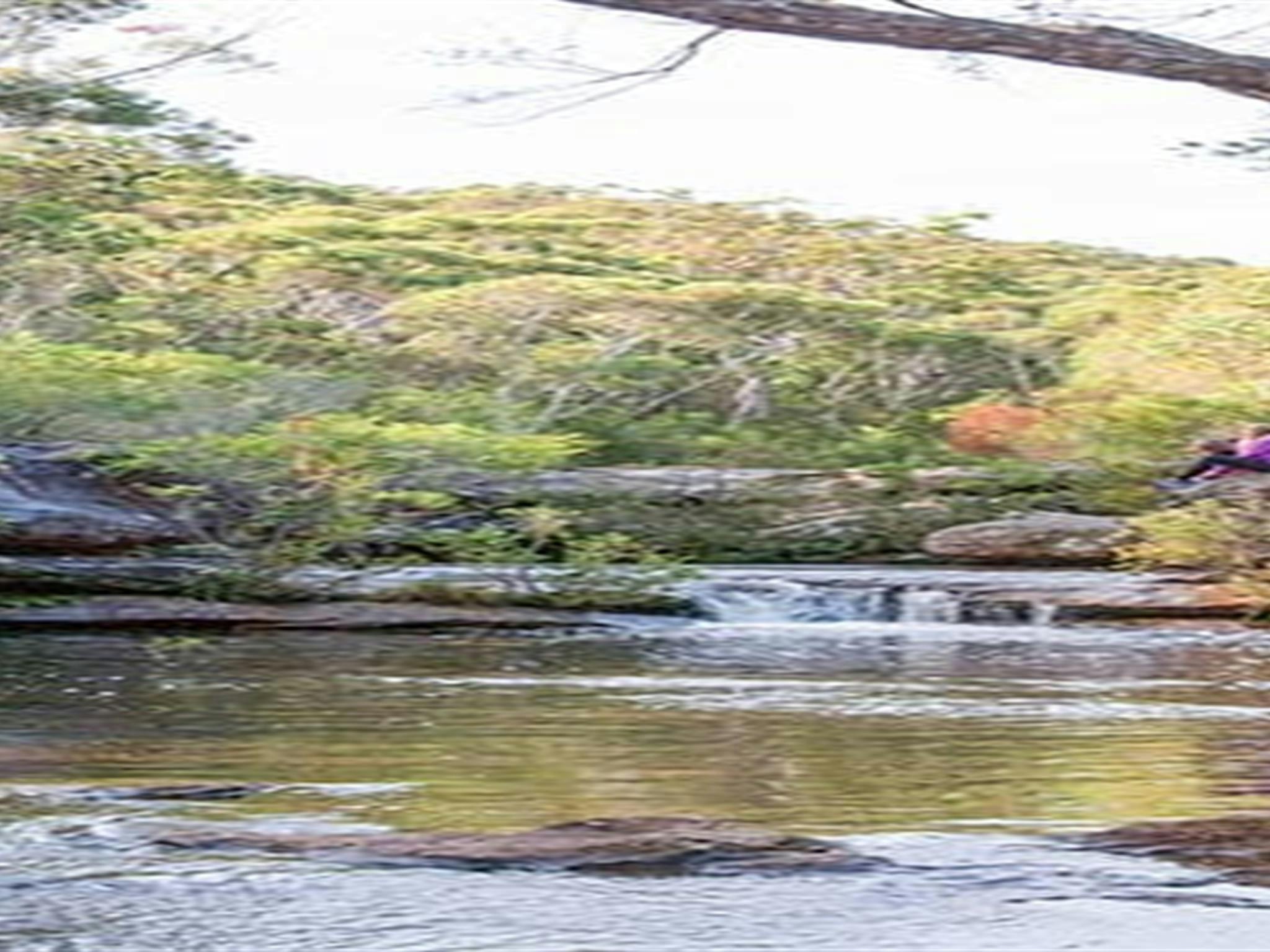 Kingfisher Pool picnic area, Heahtcote National Park. Photo: Nick Cubbin &copy; OEH