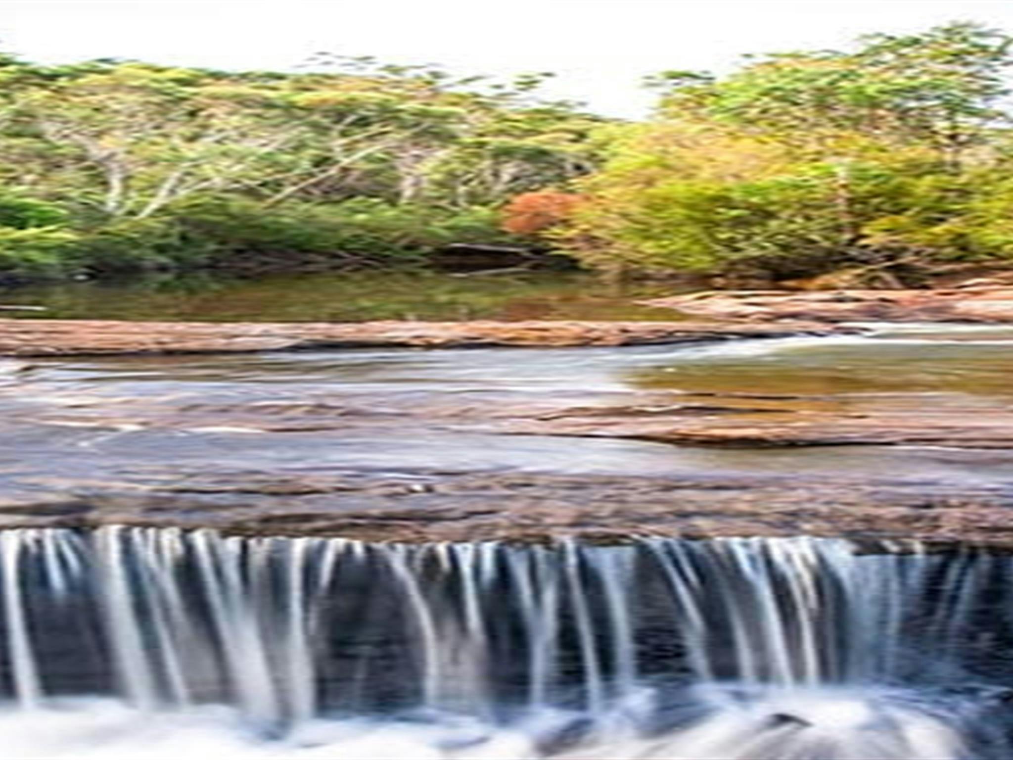 Kingfisher Pool picnic area, Heahtcote National Park. Photo: Nick Cubbin &copy; OEH