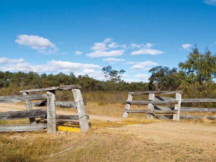 Kings Plains National Park. Photo: Robert Cleary/OEH