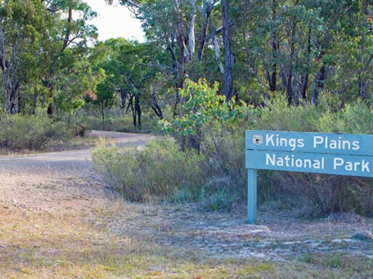 Kings Plains National Park. Photo: Robert Cleary/OEH