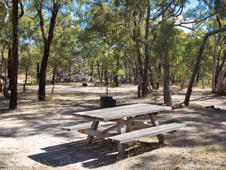 Ironbark Creek camping area, Kings Plains National Park. Photo: Robert Cleary/OEH