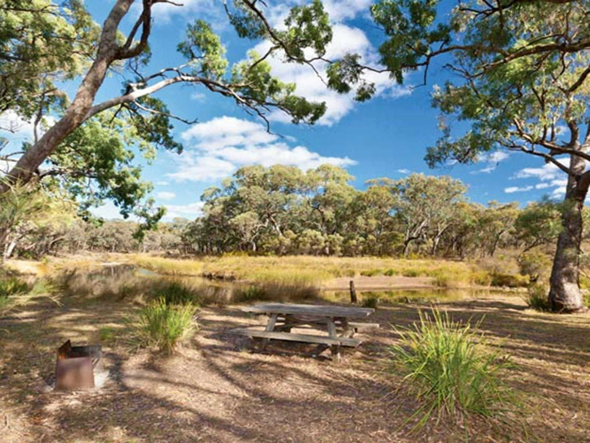 킹스 플레인스 국립공원 킹스 플레인 크릭 캠핑장. 사진: Rob Cleary/NSW 정부