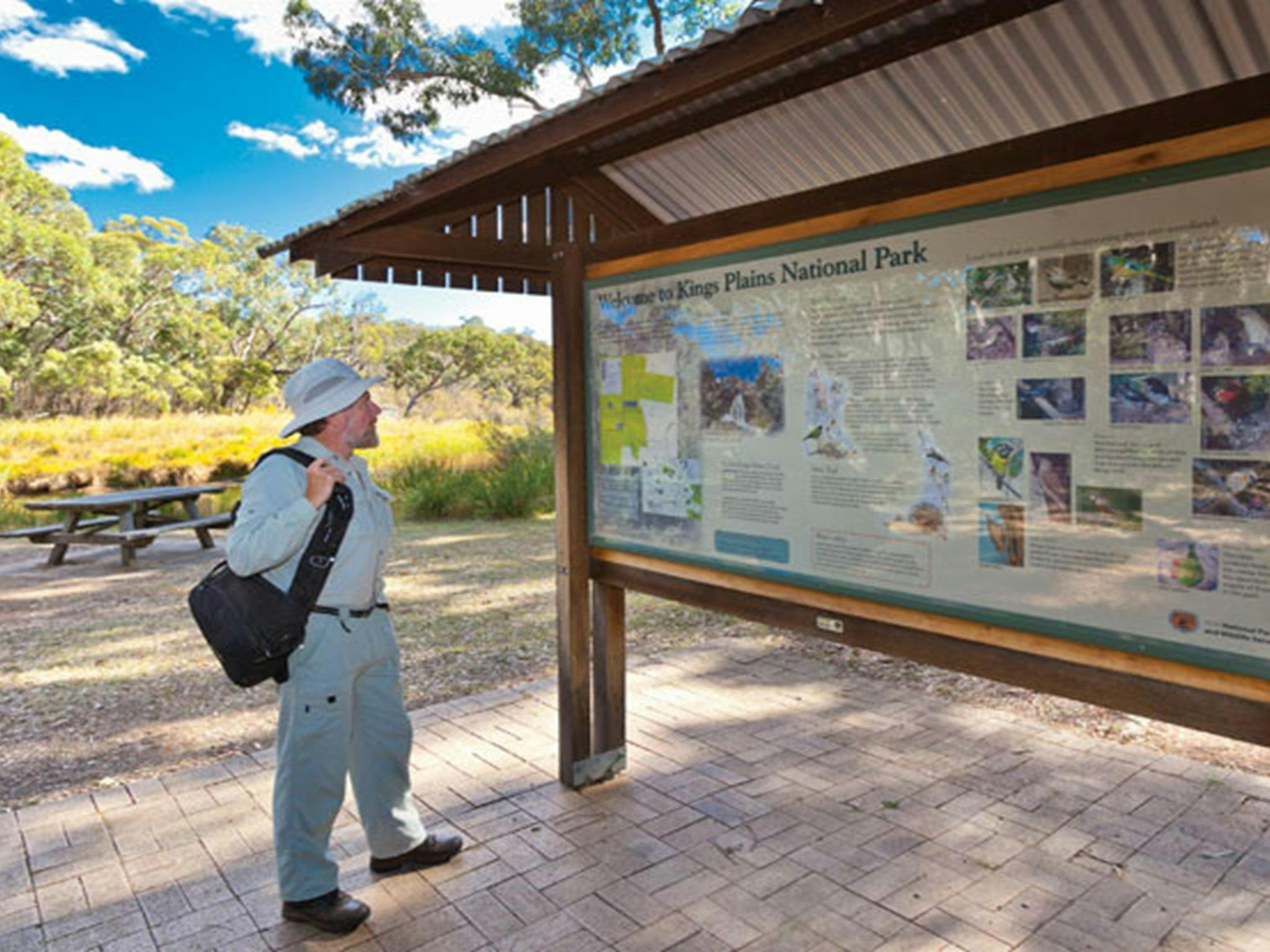 Campingplatz Kings Plain Creek. Foto: Rob Cleary/Regierung von New South Wales