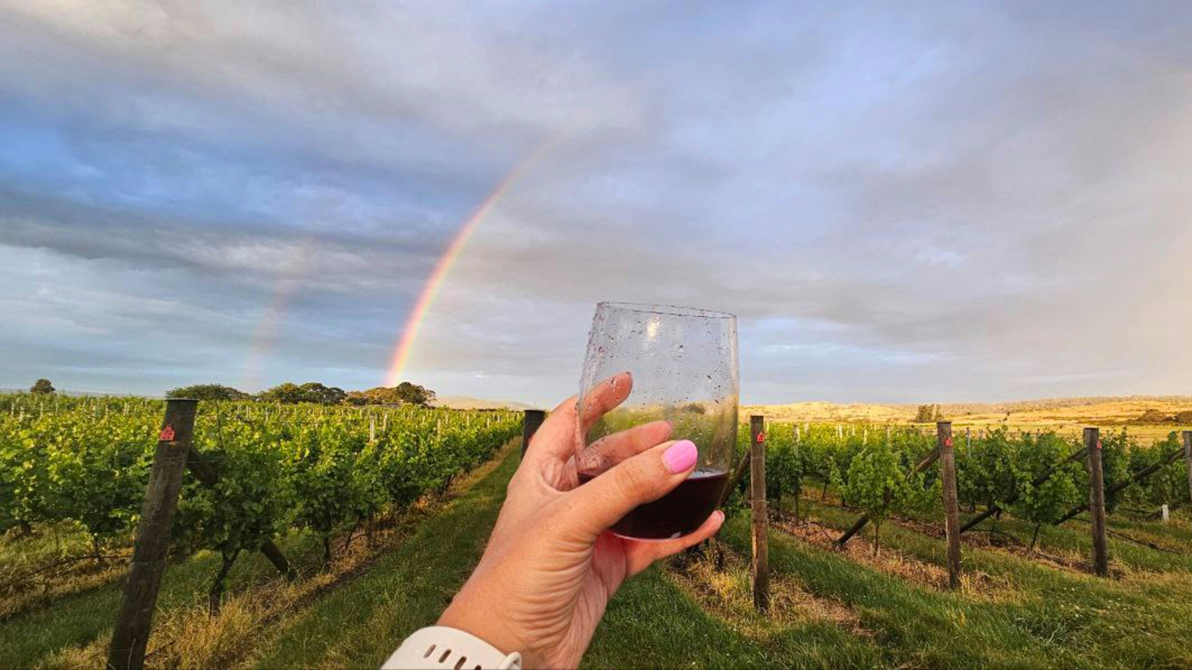 Craigie Knowe Vineyard