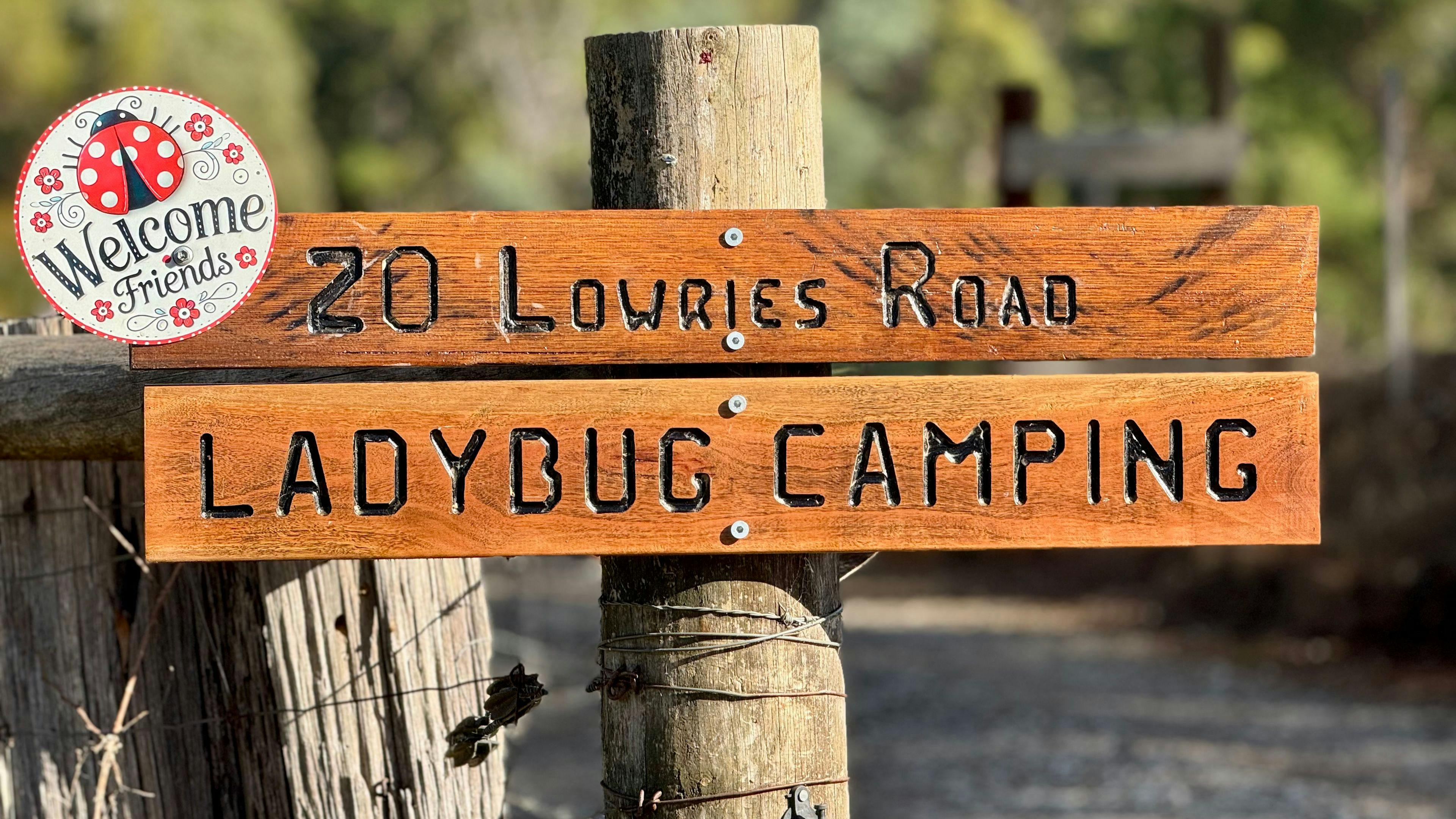 Ladybug Camping