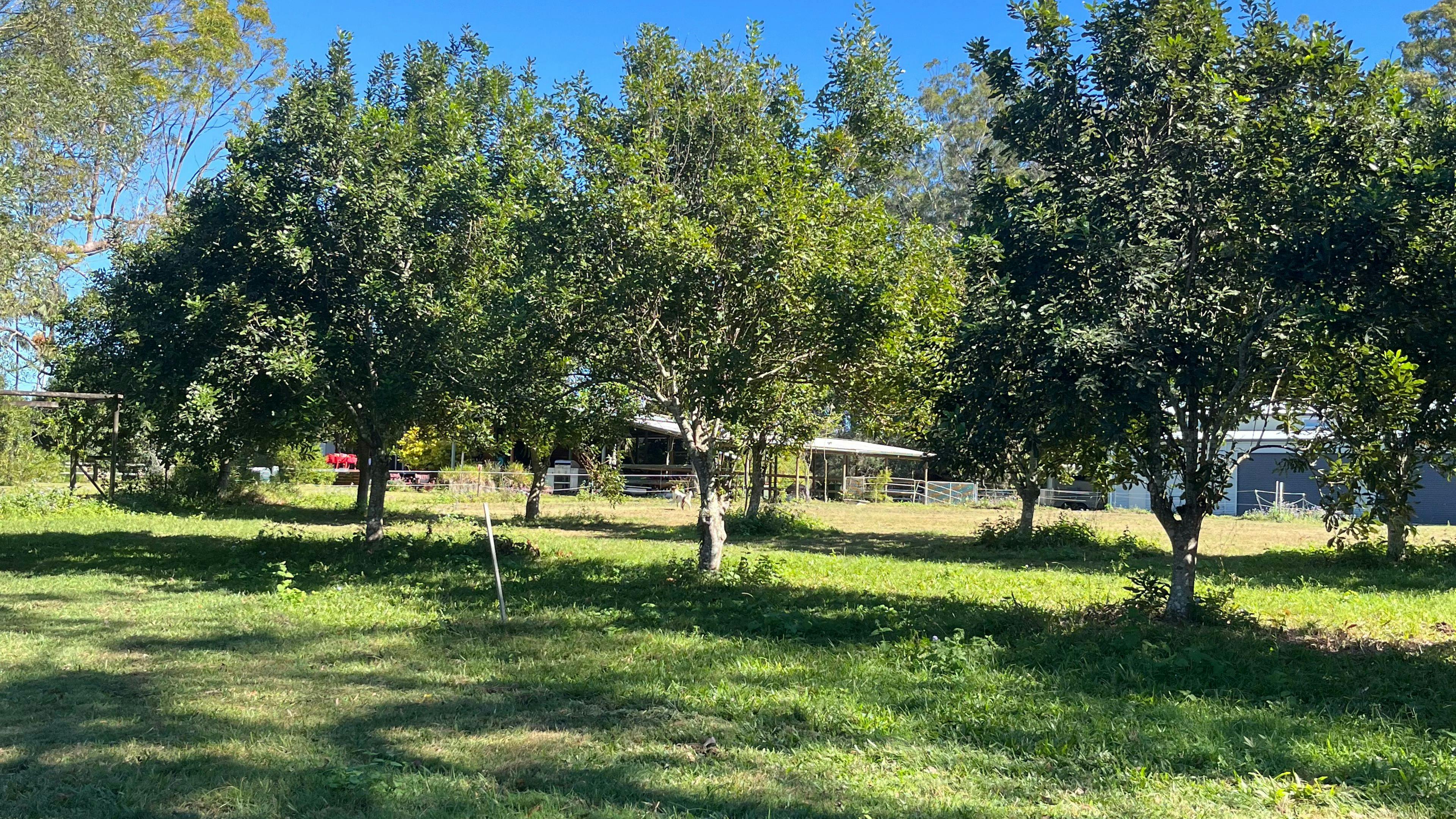 Clyde’s Forest Farm Adventure