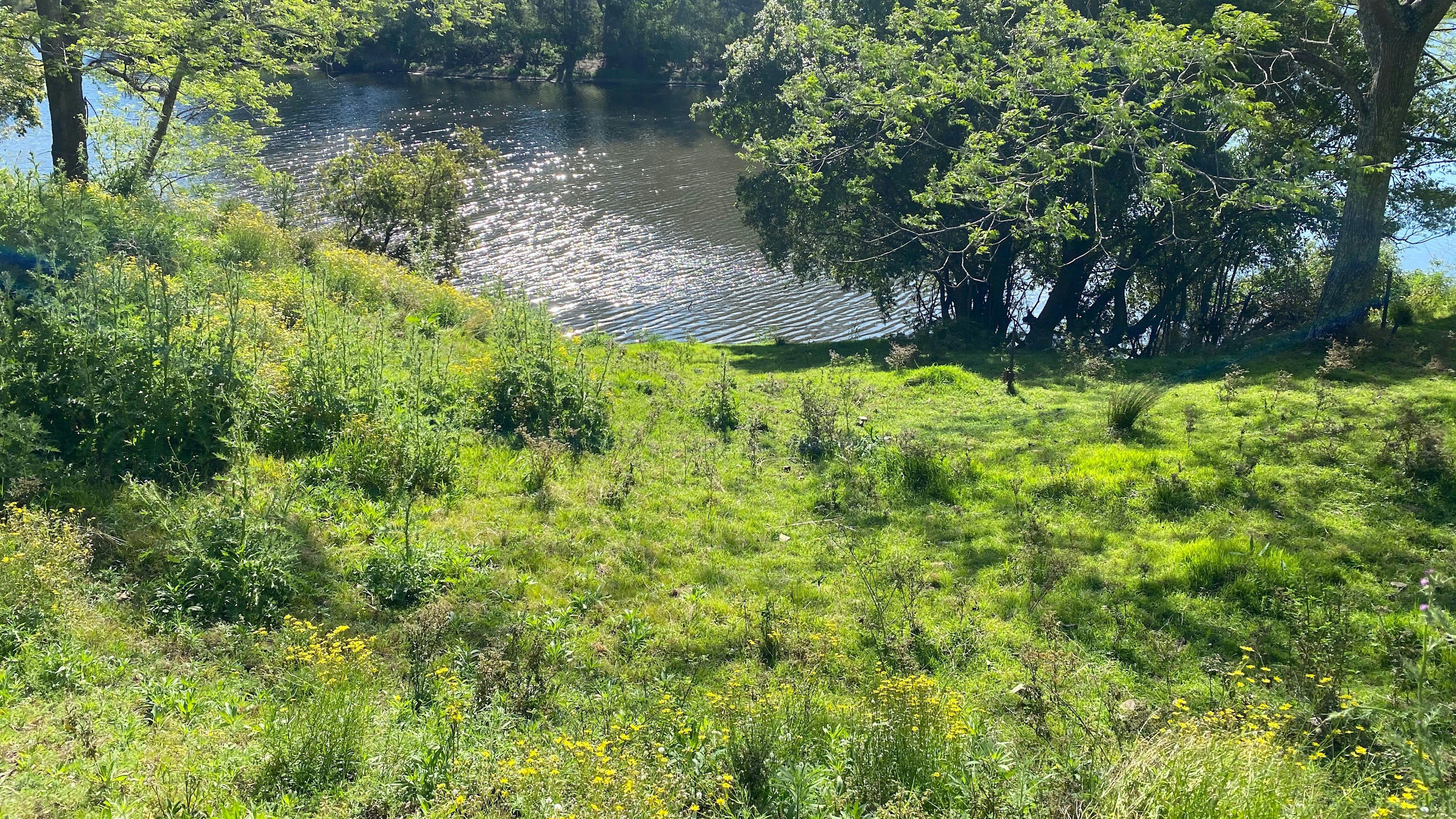 노운록 농장 카프리스 플랫
