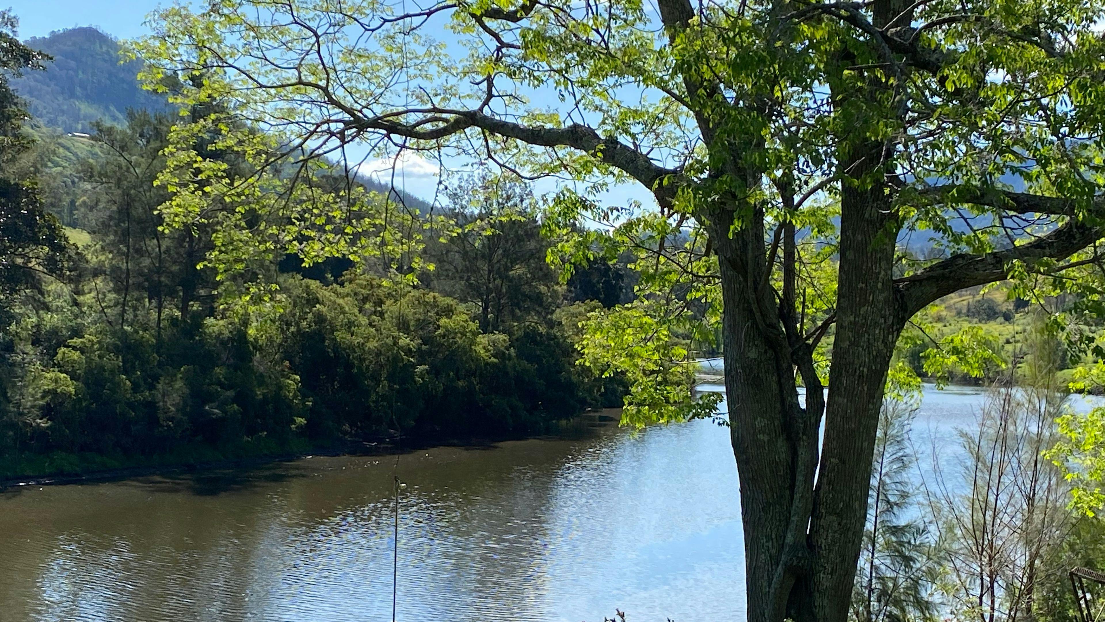 노운록 농장 카프리스 플랫