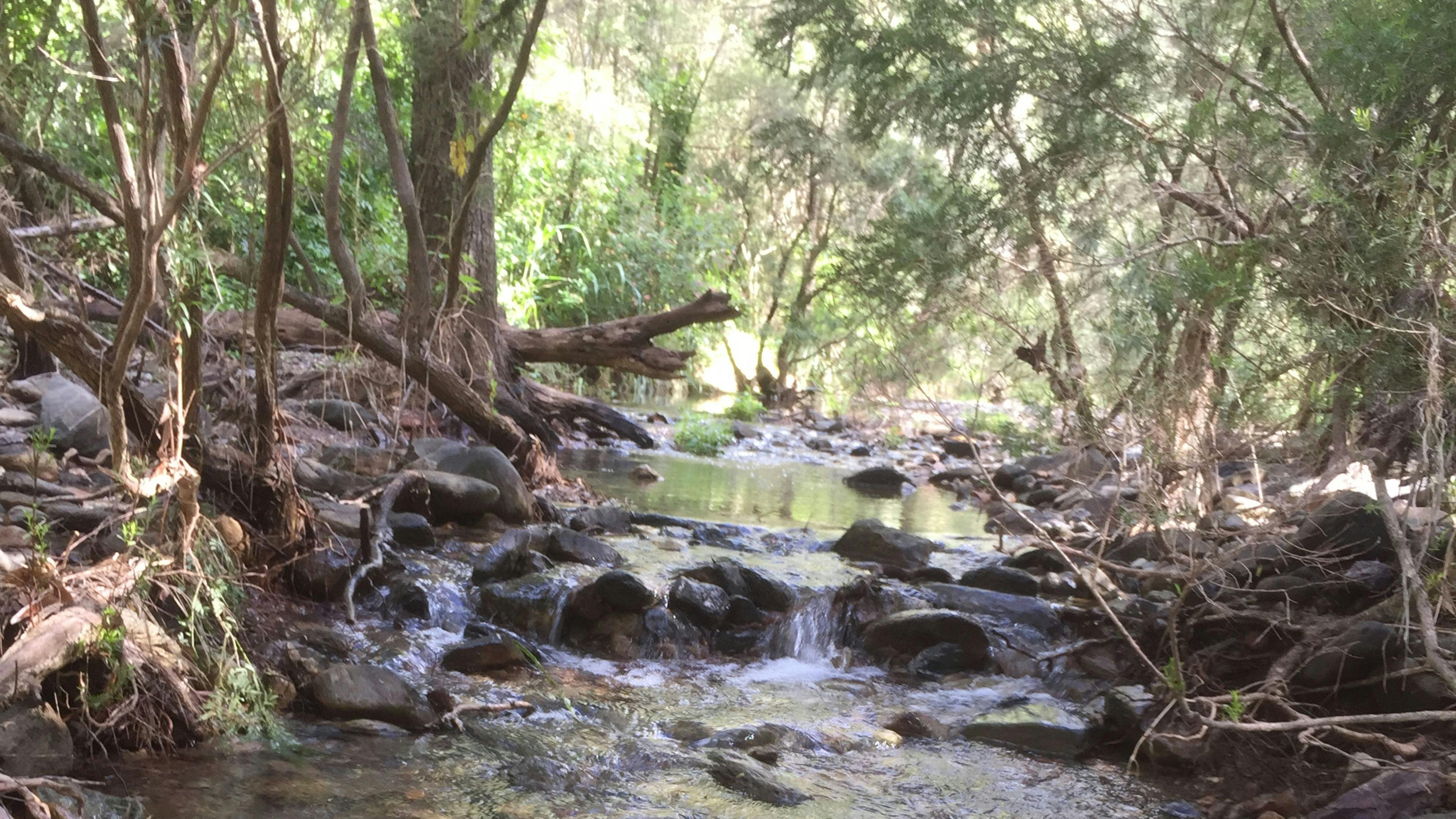Kobble Creek Family Farm