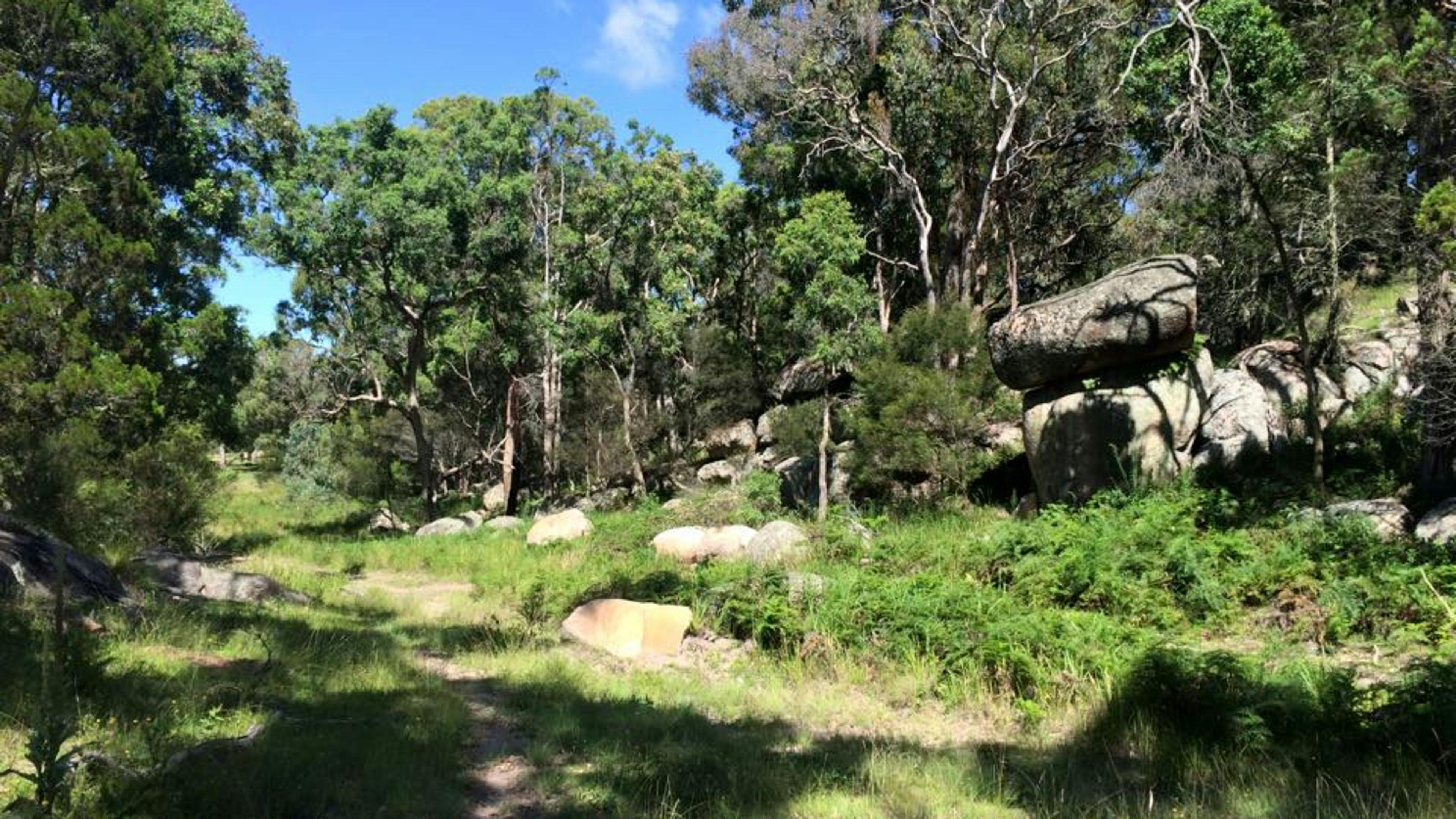 Bushwalks