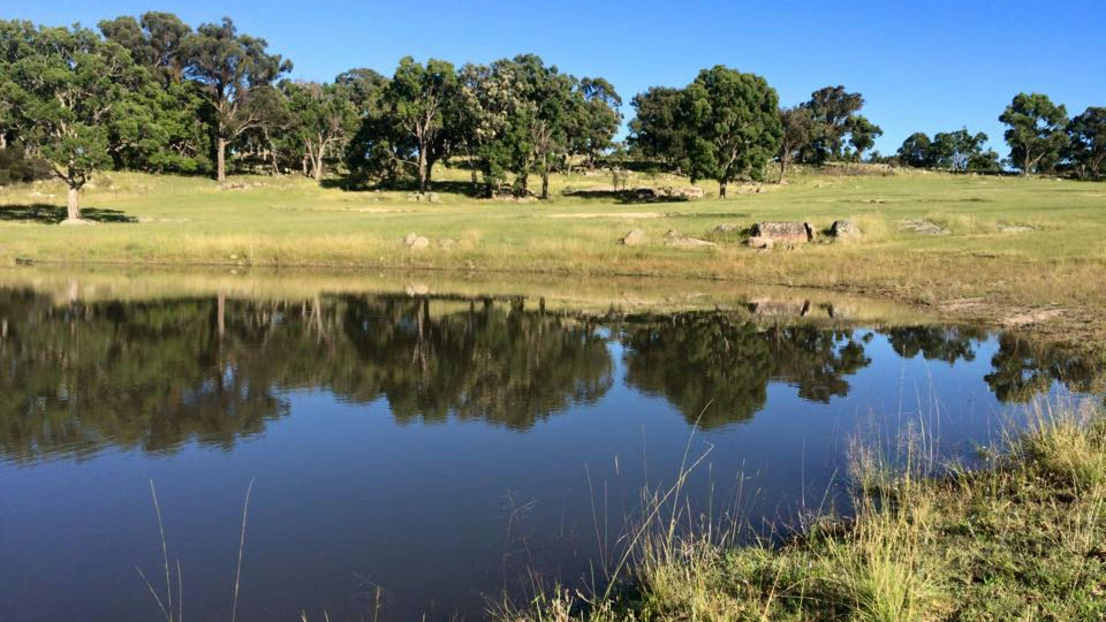 Kookaburra Camping & Caravan Park