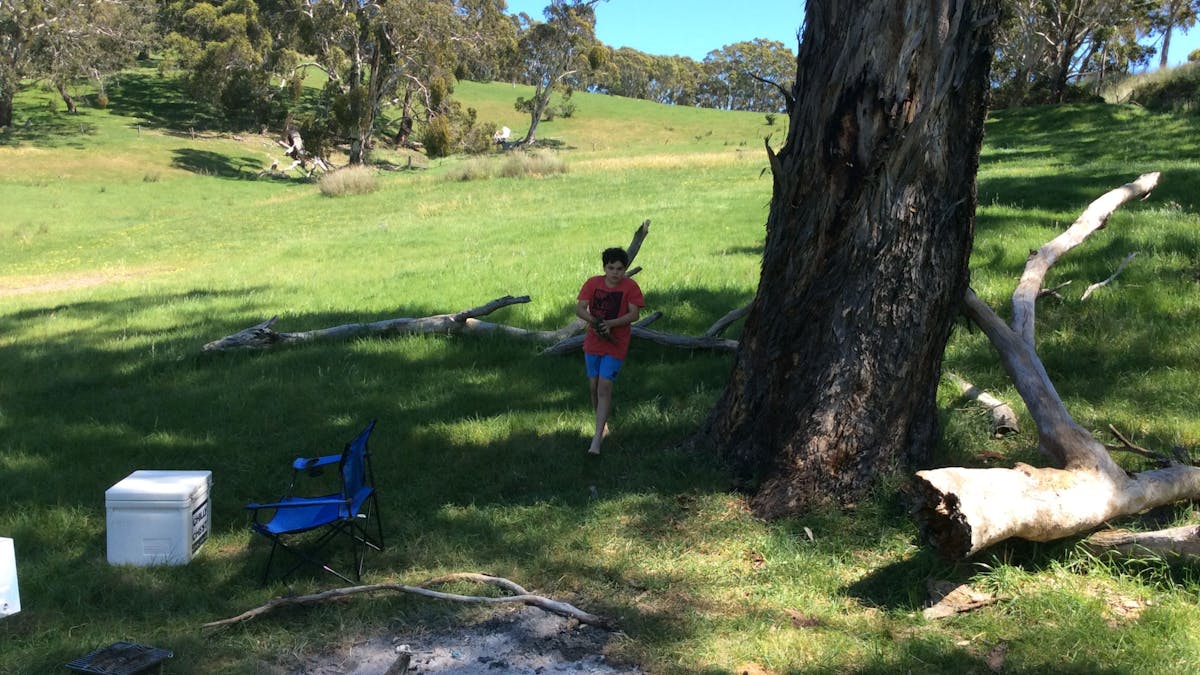 Kookaburra Cottage Farm