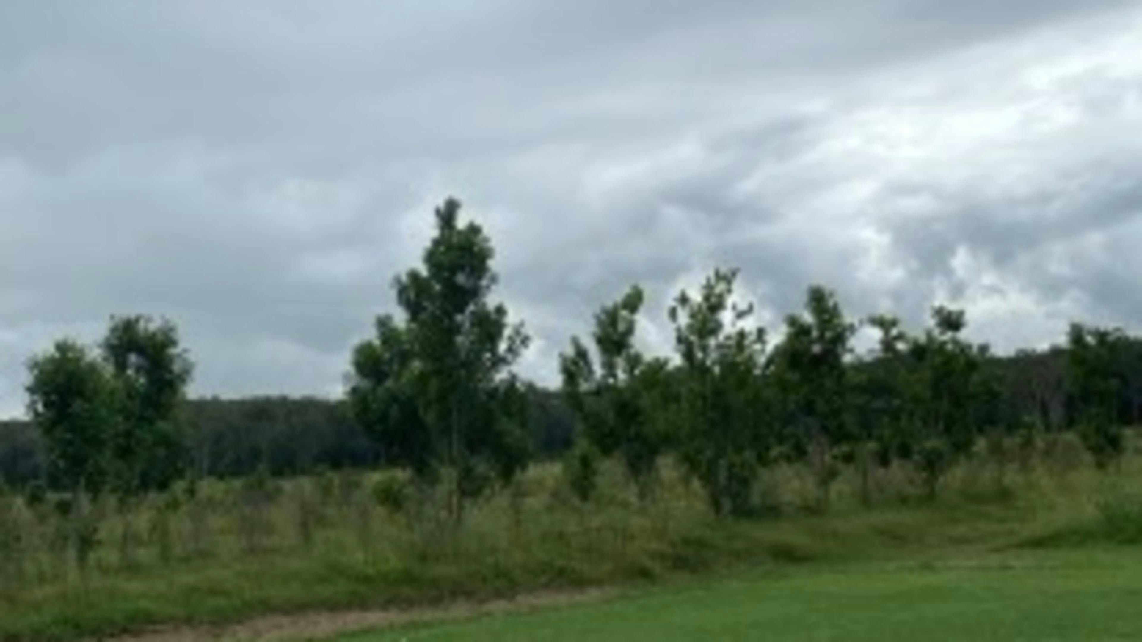 Kookaburra Farm