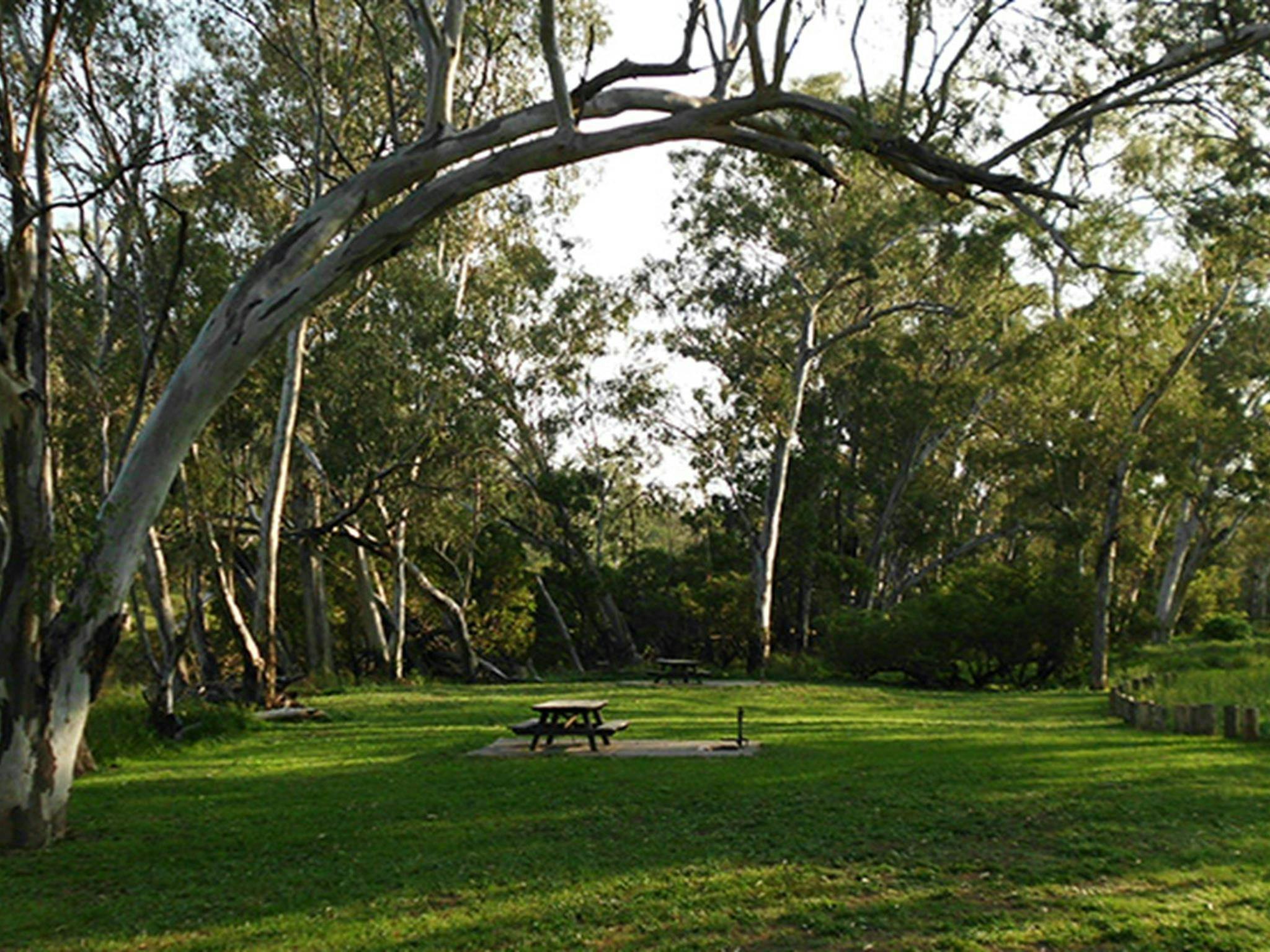 Grassy Kookibitta campground sites with picnic tables, surrounded by bushland.  Photo: Tanya