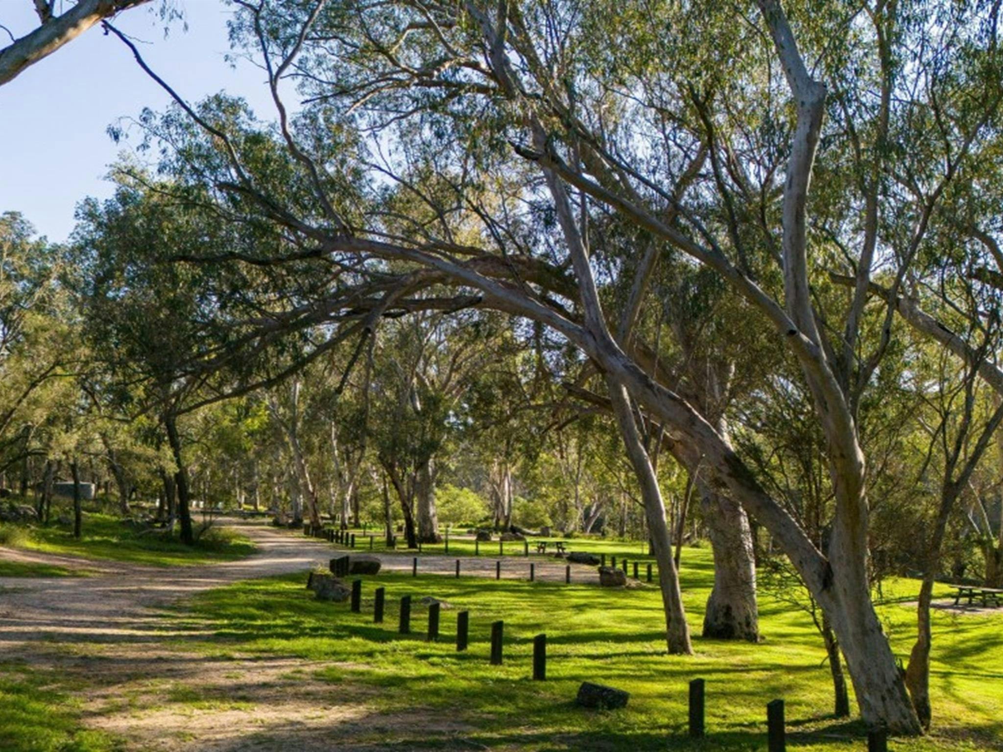穿过奎安巴尔国家公园库基比塔露营地的道路。照片：西蒙·斯科特 © DCCEEW