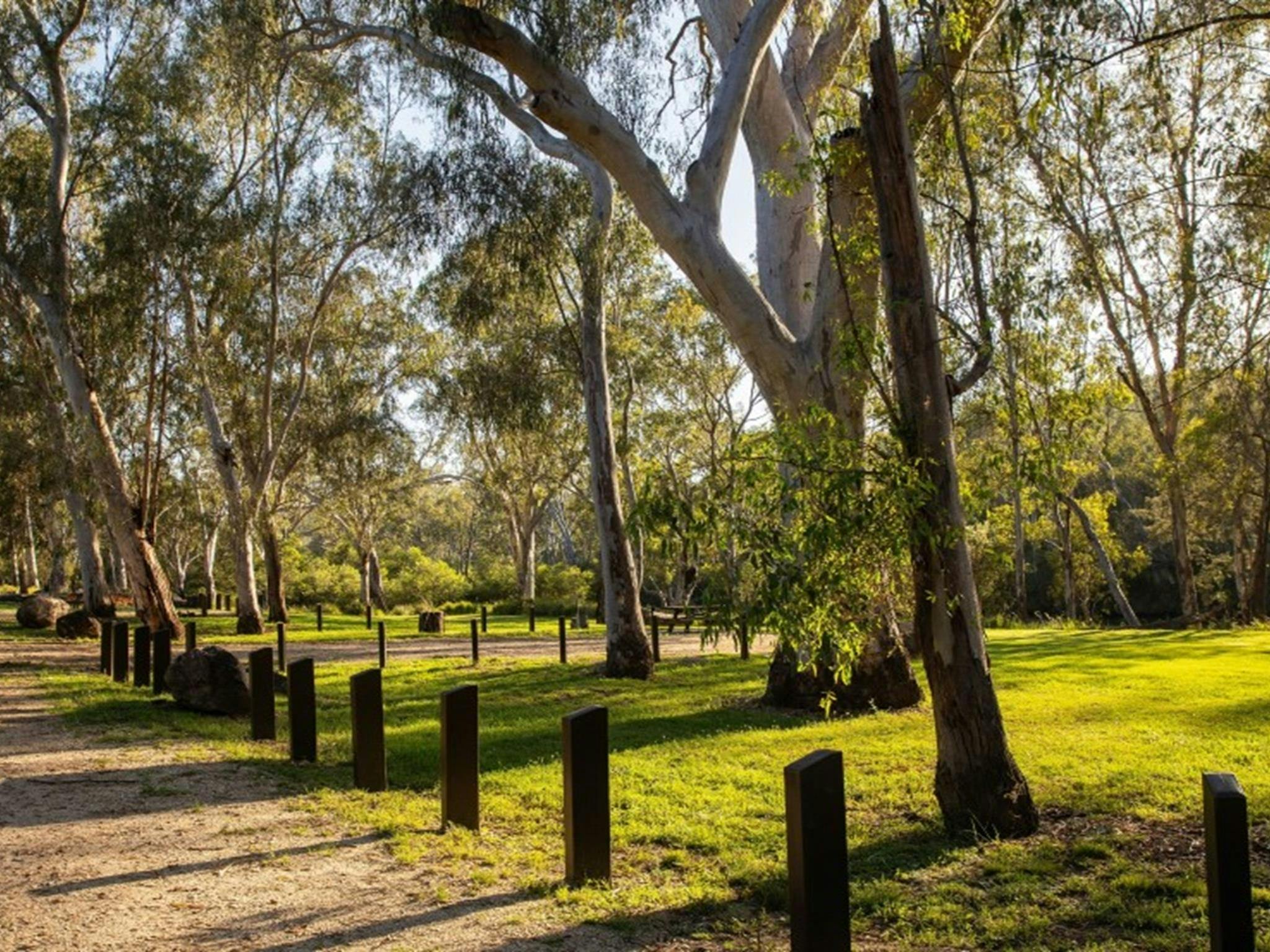 穿过奎安巴尔国家公园库基比塔露营地的道路。照片：西蒙·斯科特 © DCCEEW