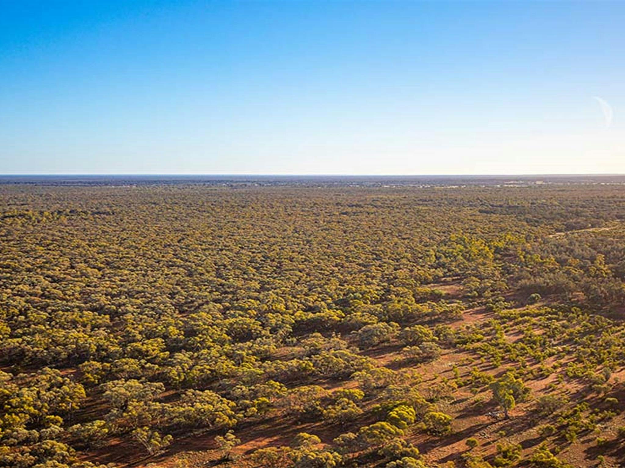 Koonaburra National Park