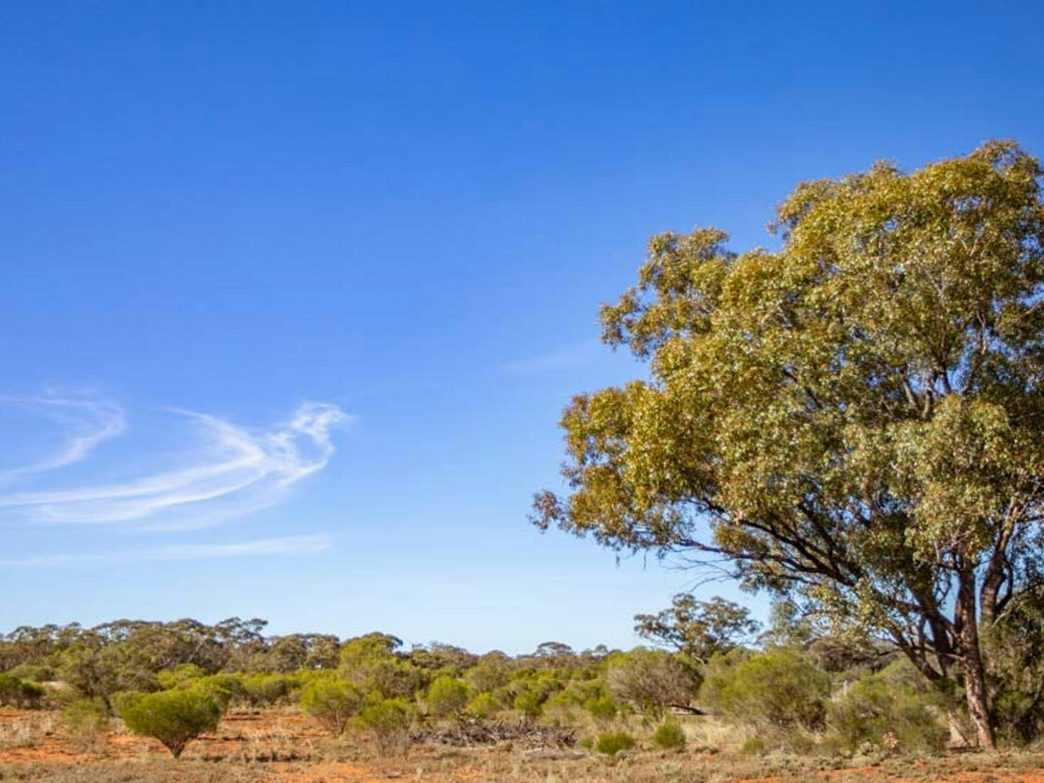 Koonaburra National Park