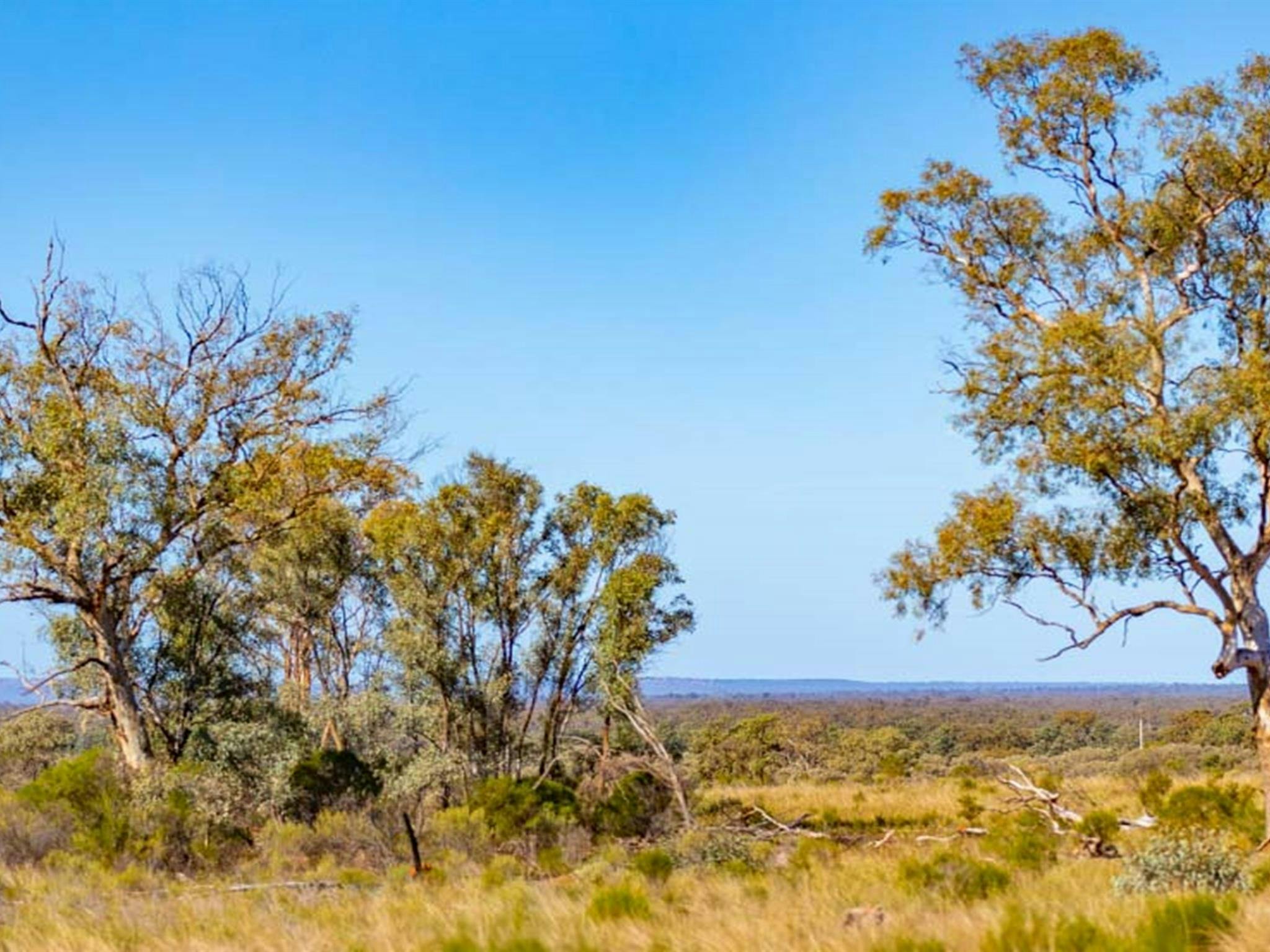 Koonaburra National Park