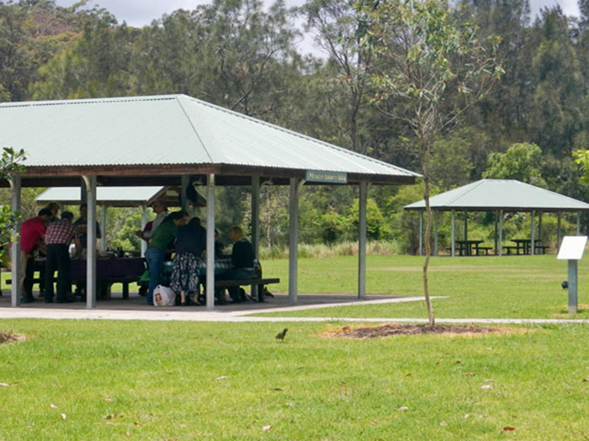 Koonjeree picnic area, Lane Cove National Park. Photo: OEH