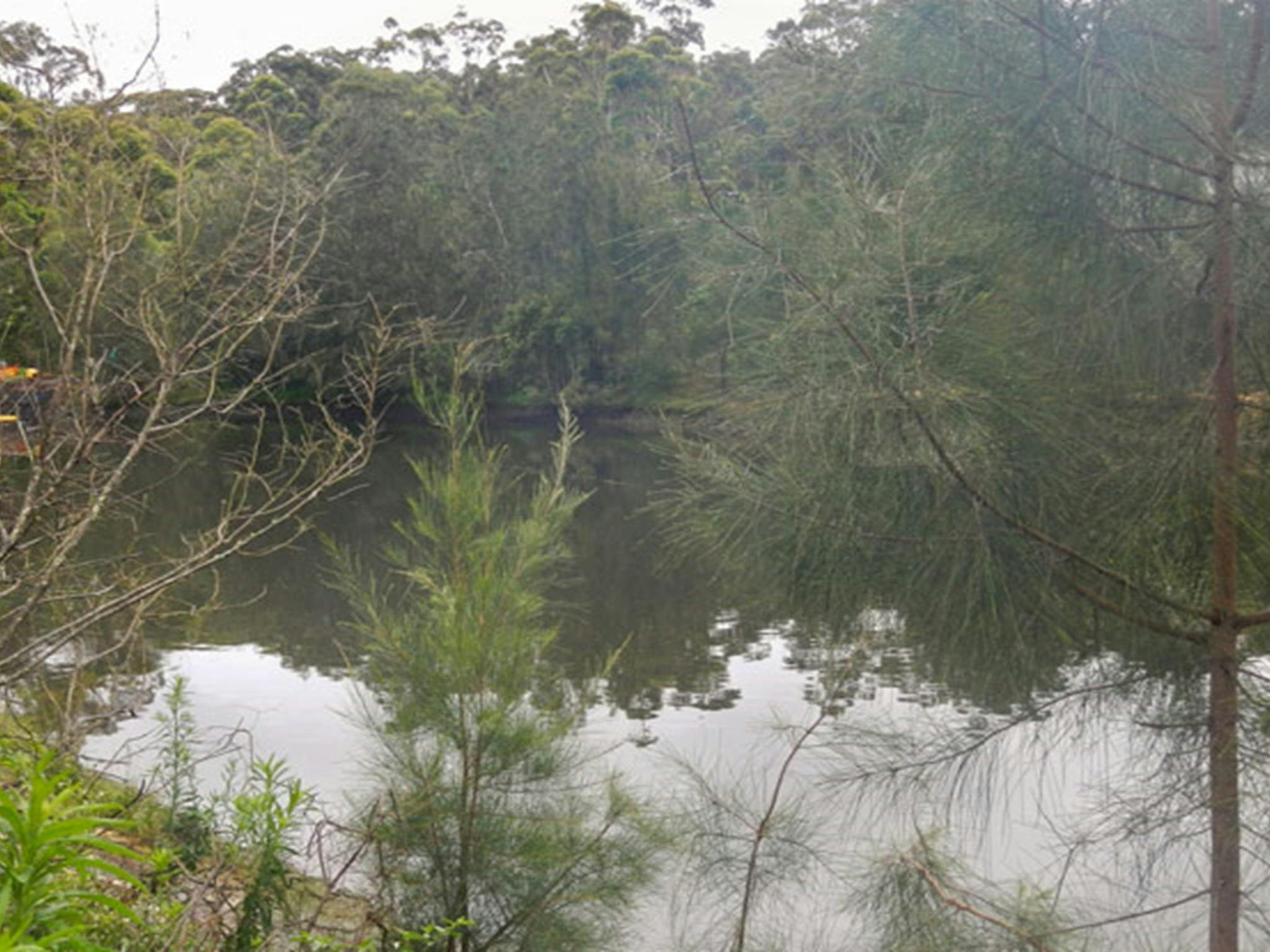 Koonjeree picnic area, Lane Cove National Park. Photo: OEH