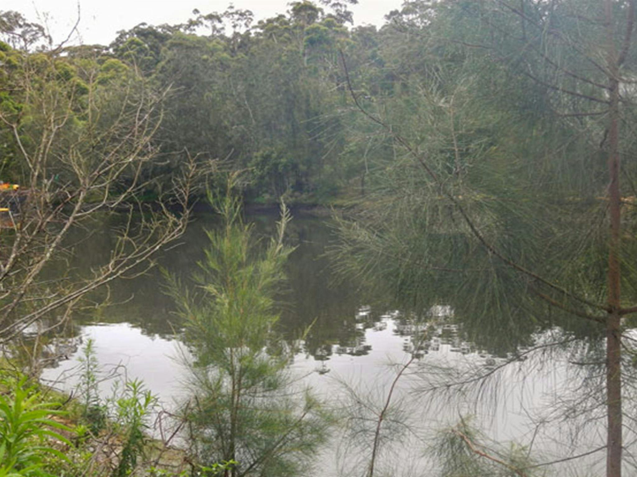 Koonjeree picnic area, Lane Cove National Park. Photo: OEH