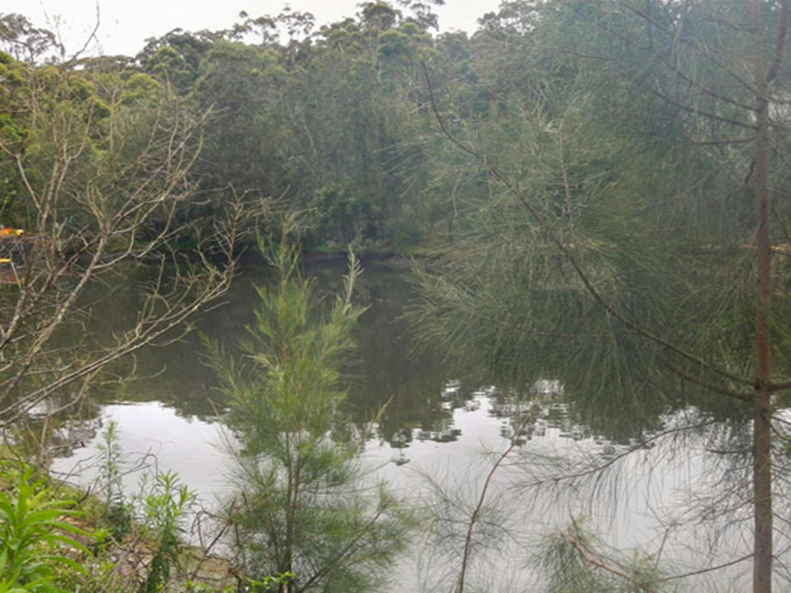 Koonjeree picnic area, Lane Cove National Park. Photo: OEH