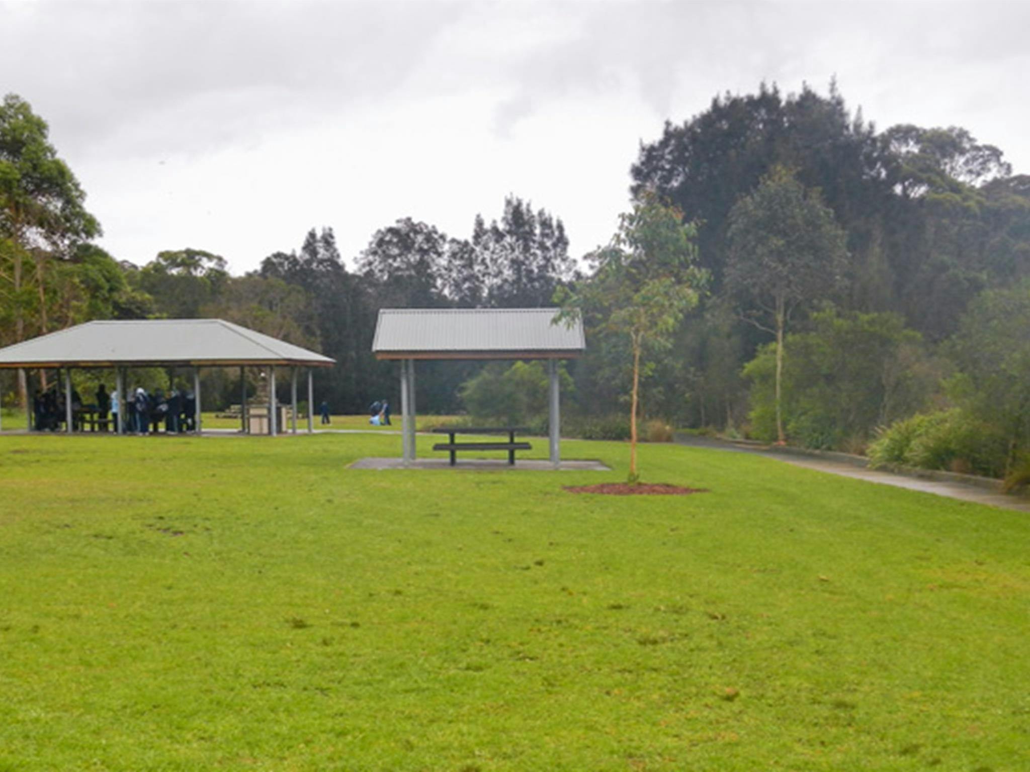 Koonjeree picnic area, Lane Cove National Park. Photo: OEH