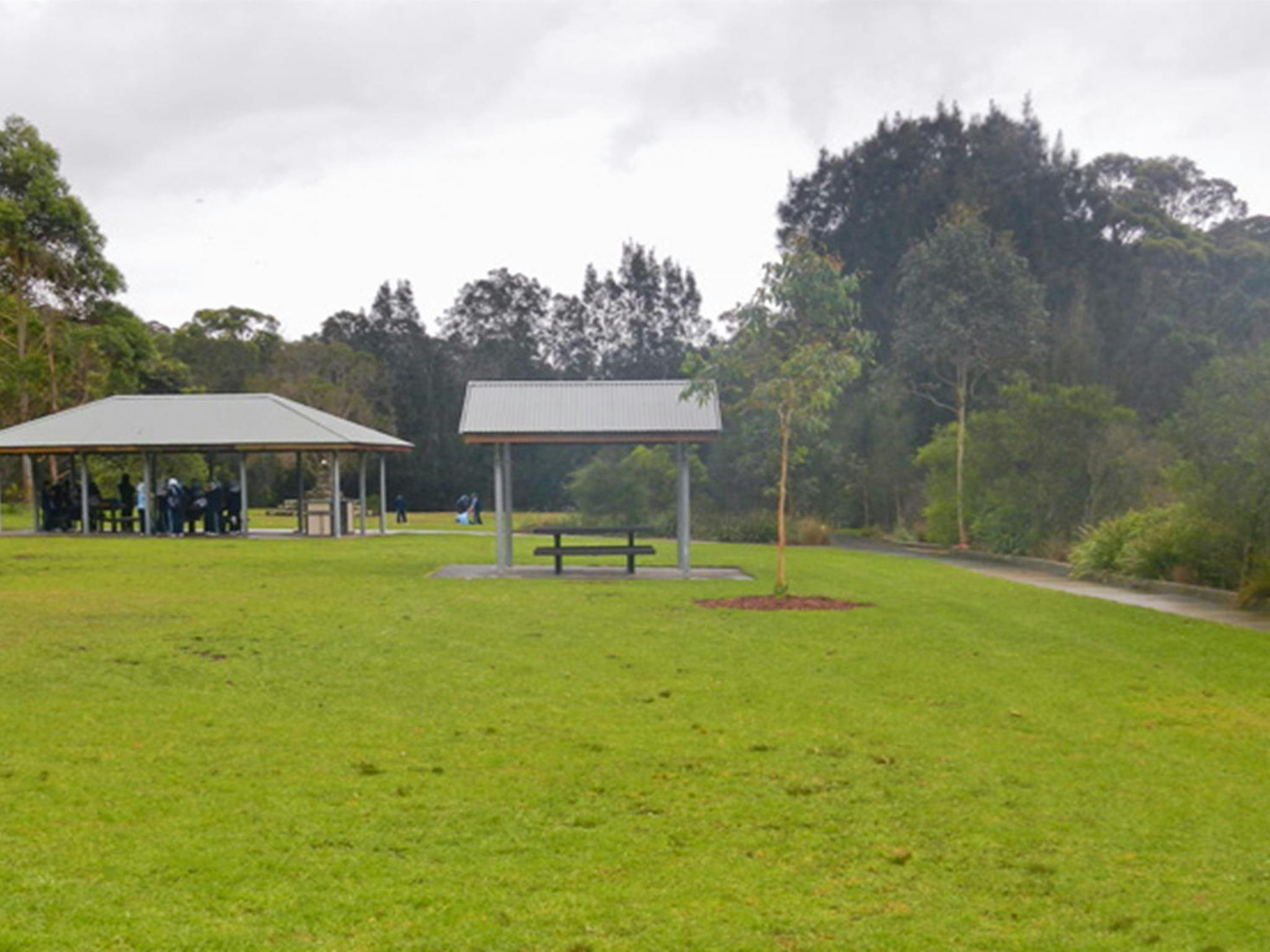 Koonjeree picnic area, Lane Cove National Park. Photo: OEH