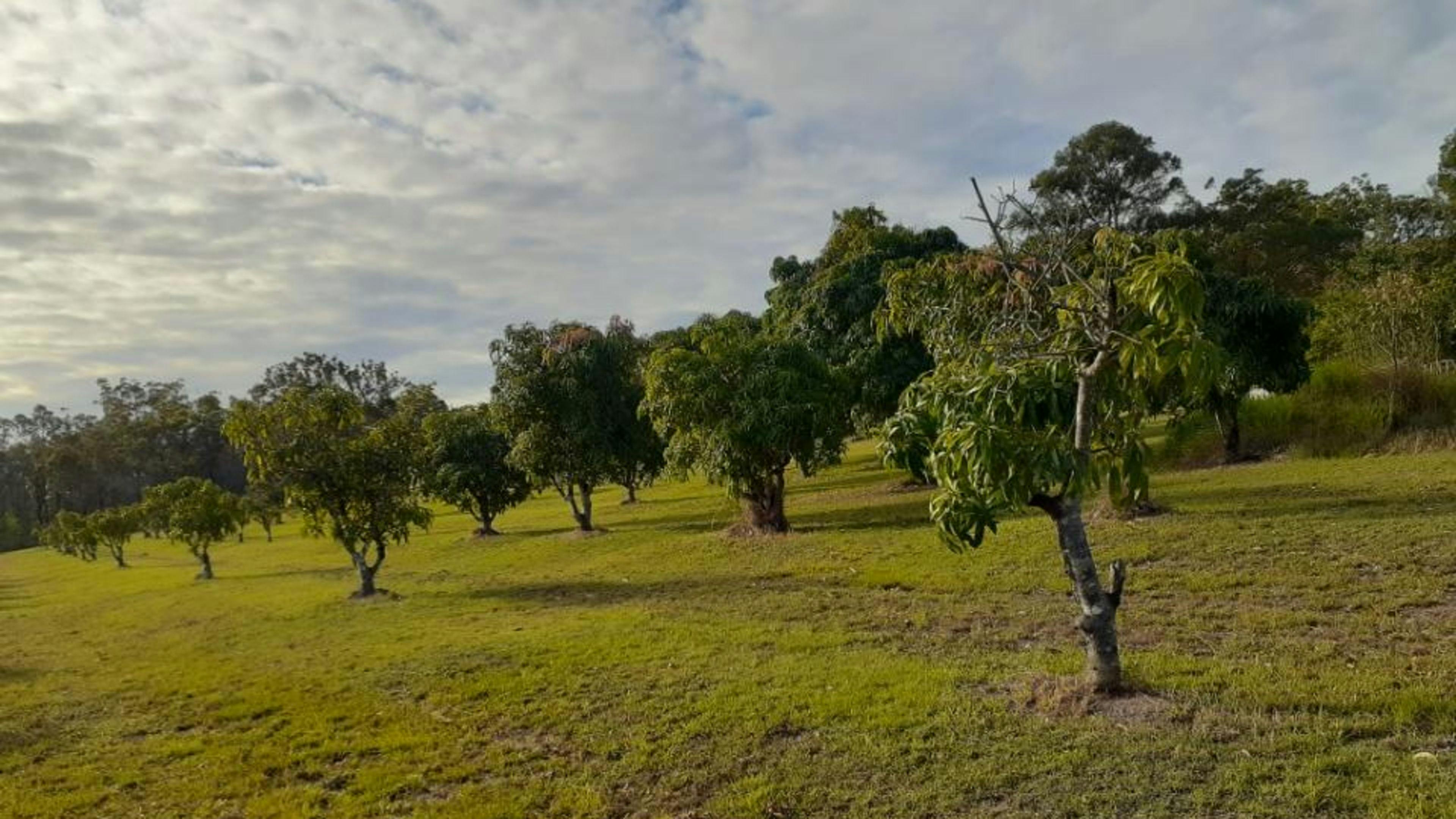 Korners Bush Escape Deepwater