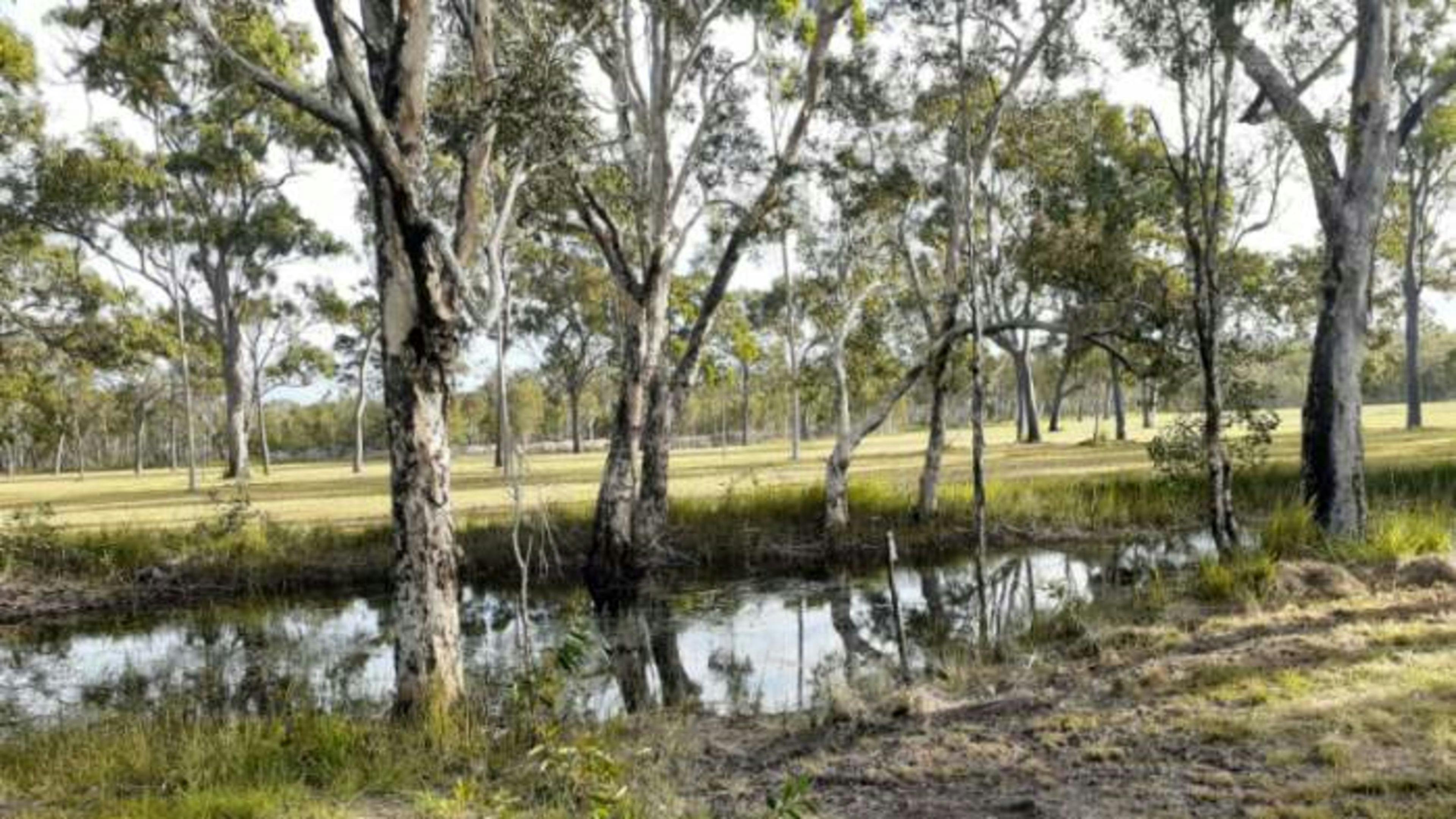 Korners Bush Escape Deepwater