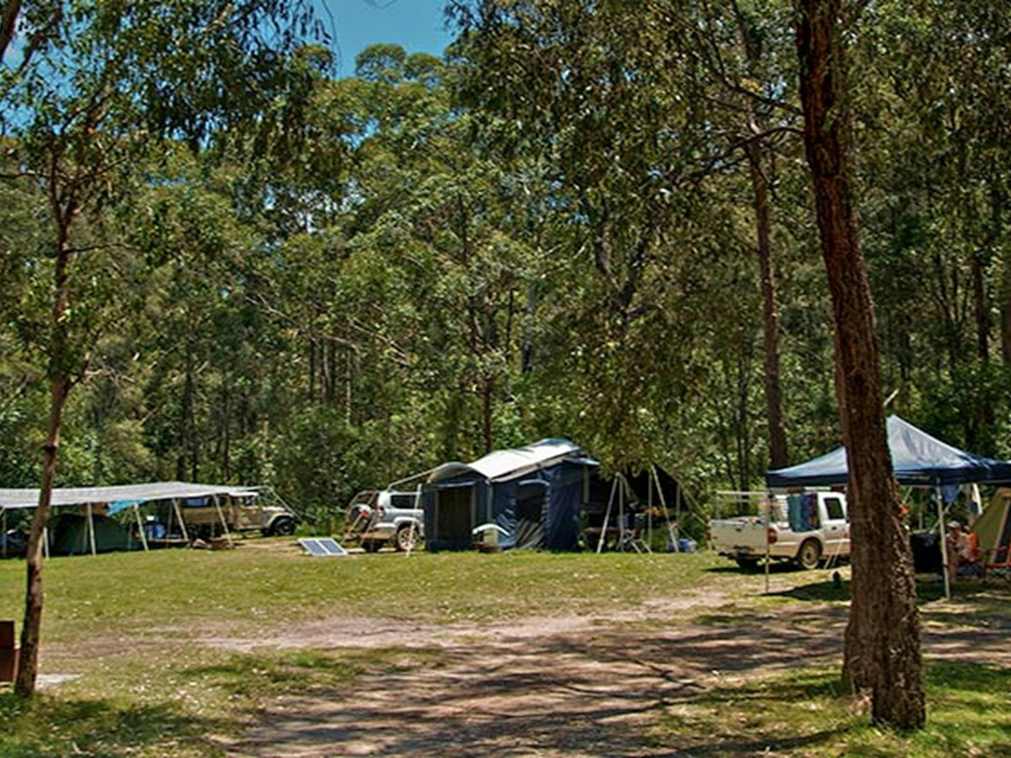 Campingplatz Korsmans Landing, Myall Lakes Nationalpark. Foto: John Spencer/Regierung von New South Wales