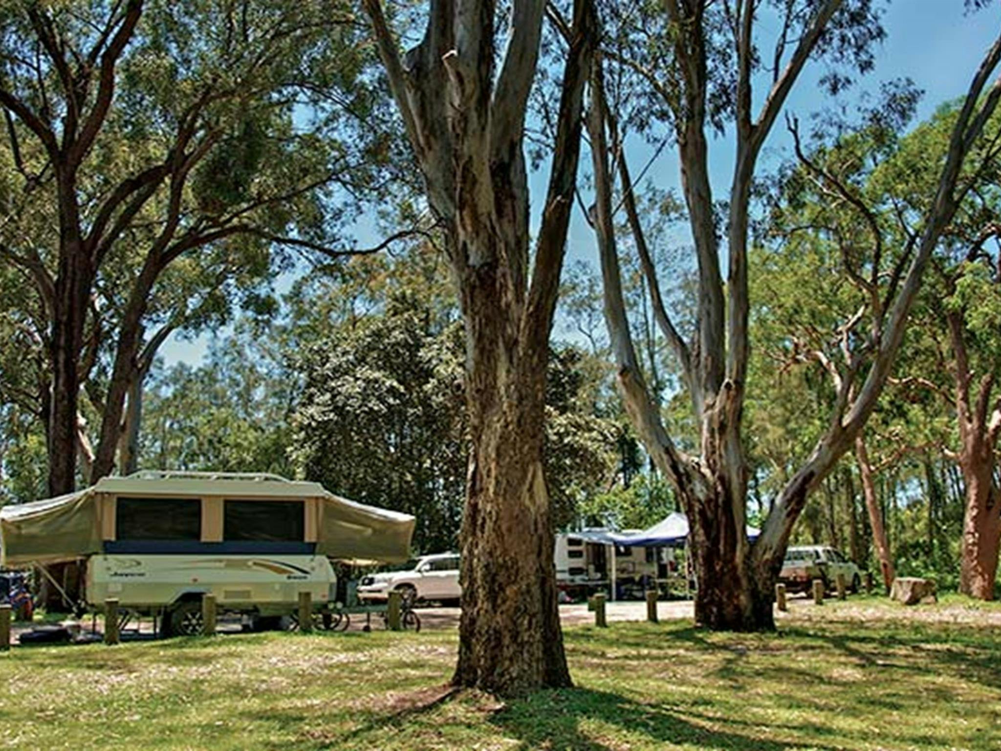 Campingplatz Korsmans Landing, Myall Lakes Nationalpark. Foto: John Spencer/Regierung von New South Wales