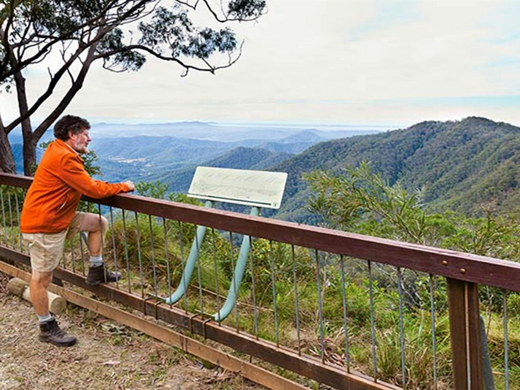 Kosekai lookout scenic view, Dunggir National Park. Photo: Rob Cleary © OEH
