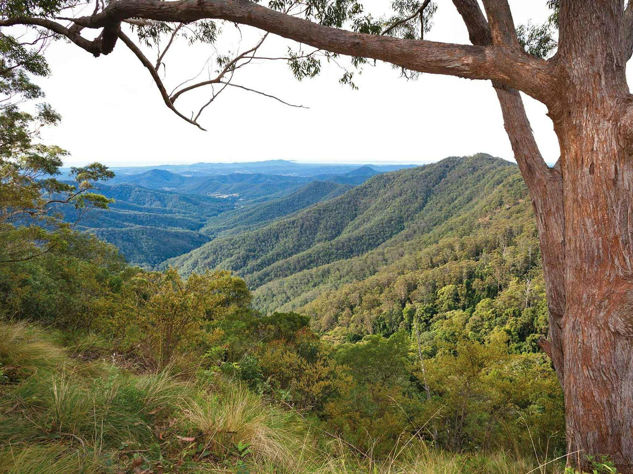 Kosekai lookout, Dunggir National Park. Photo: Rob Cleary © OEH