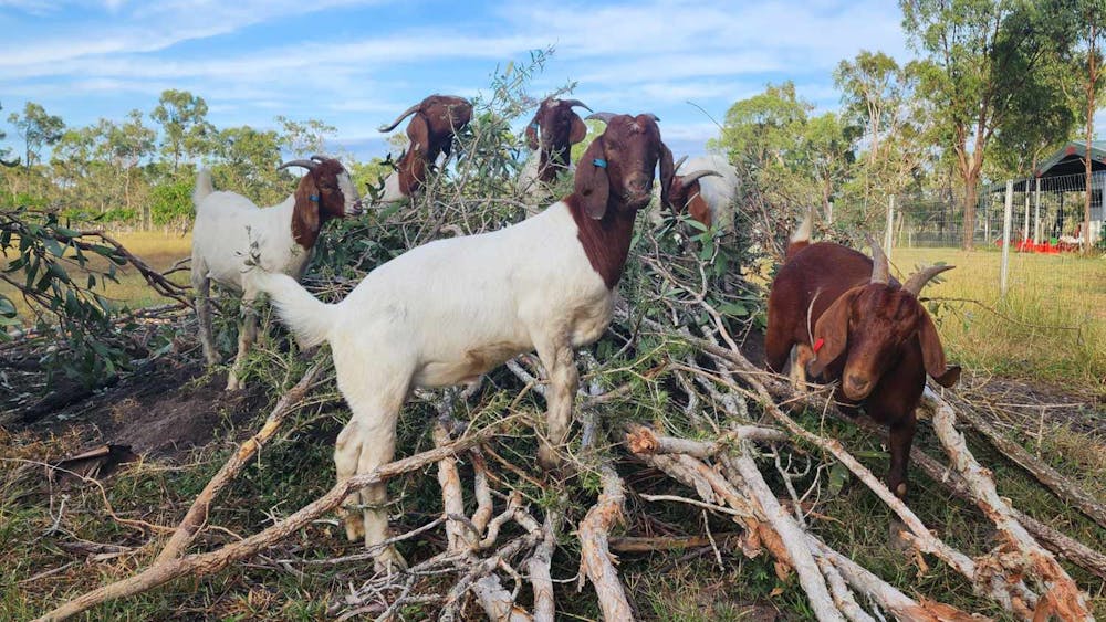 Black River Bush Retreat