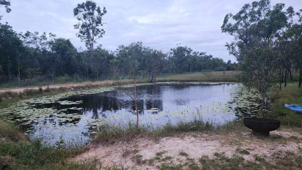 Black River Bush Retreat