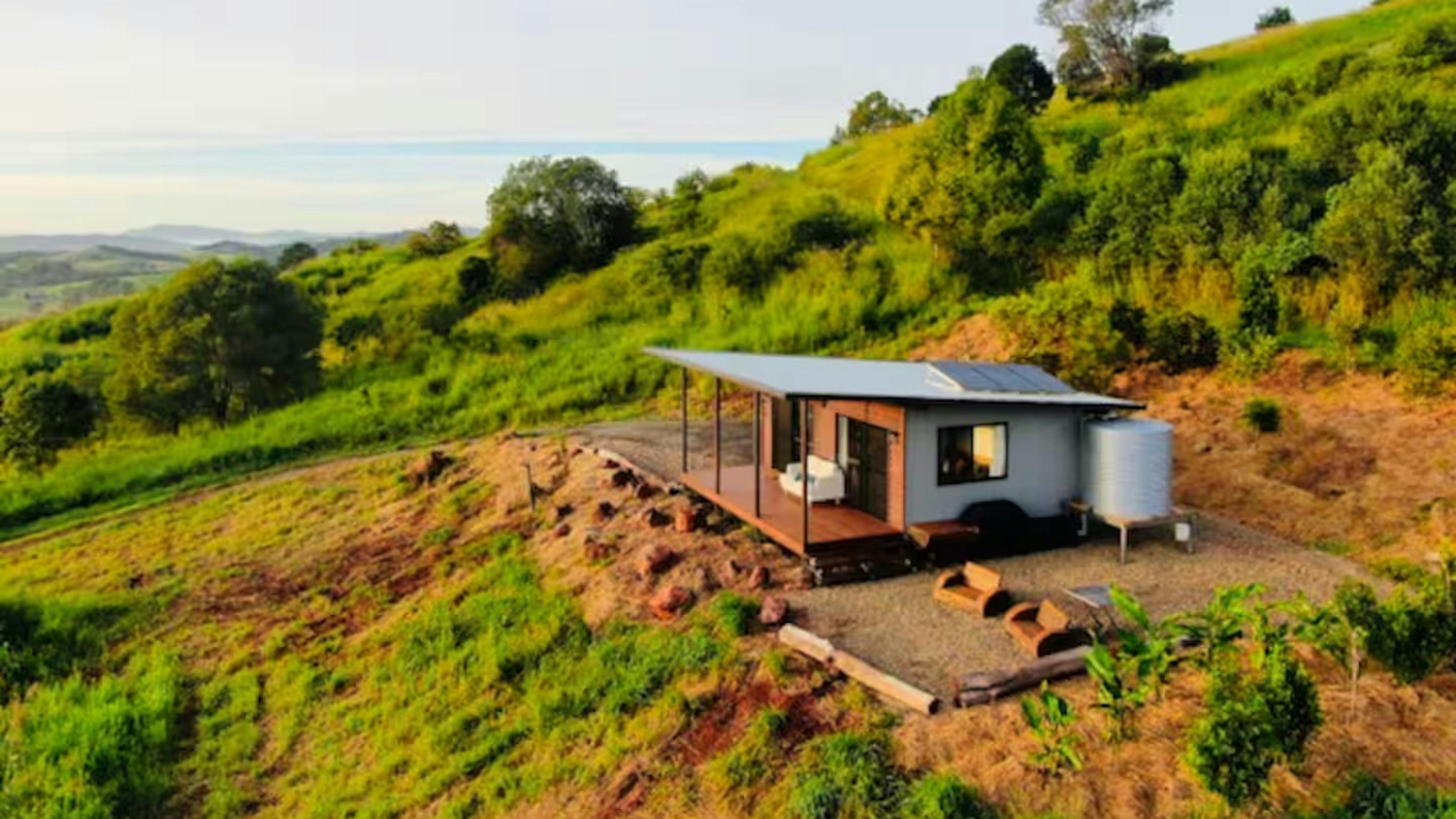 The Avocado Tree Farm