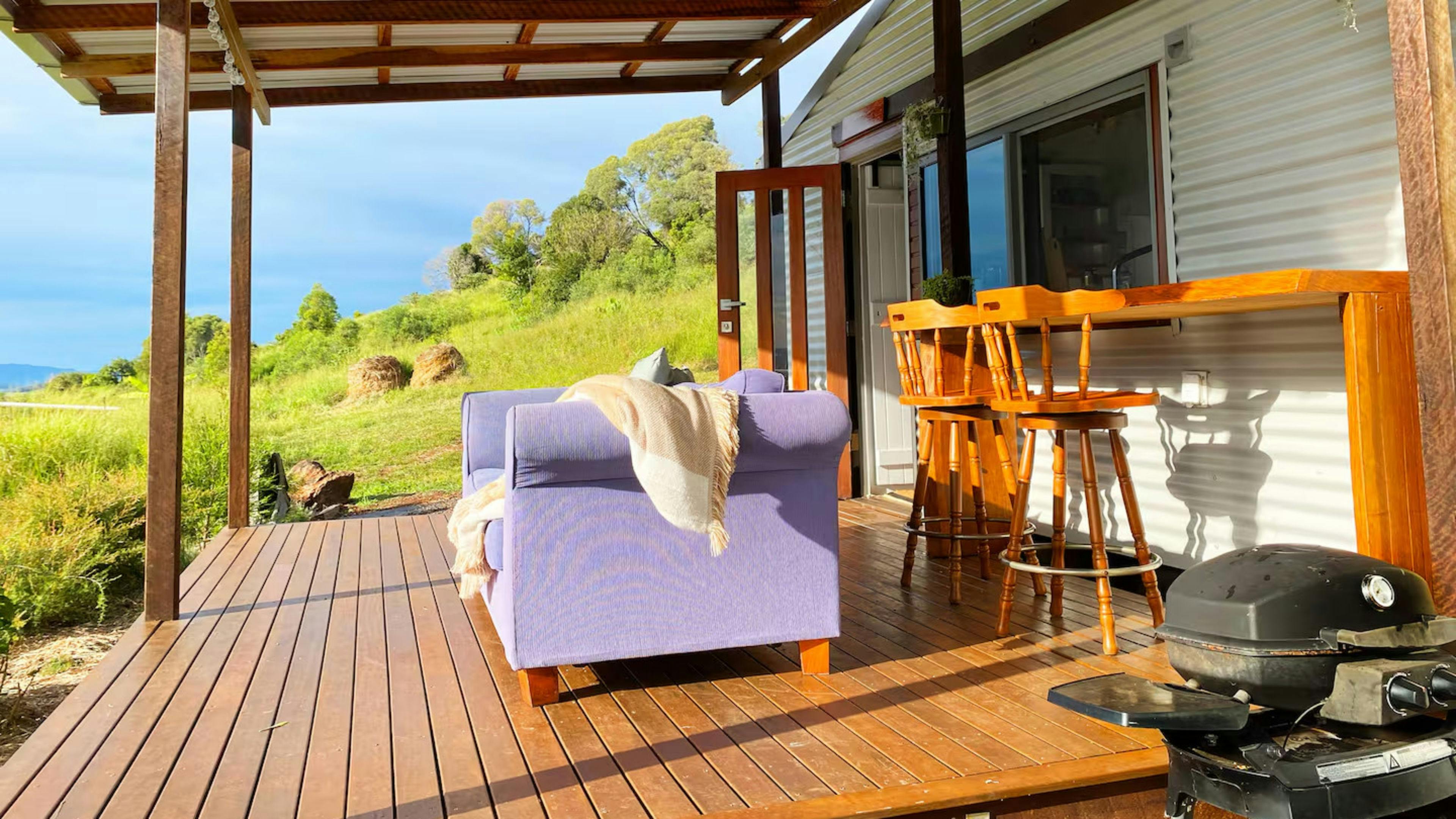 The Avocado Tree Farm