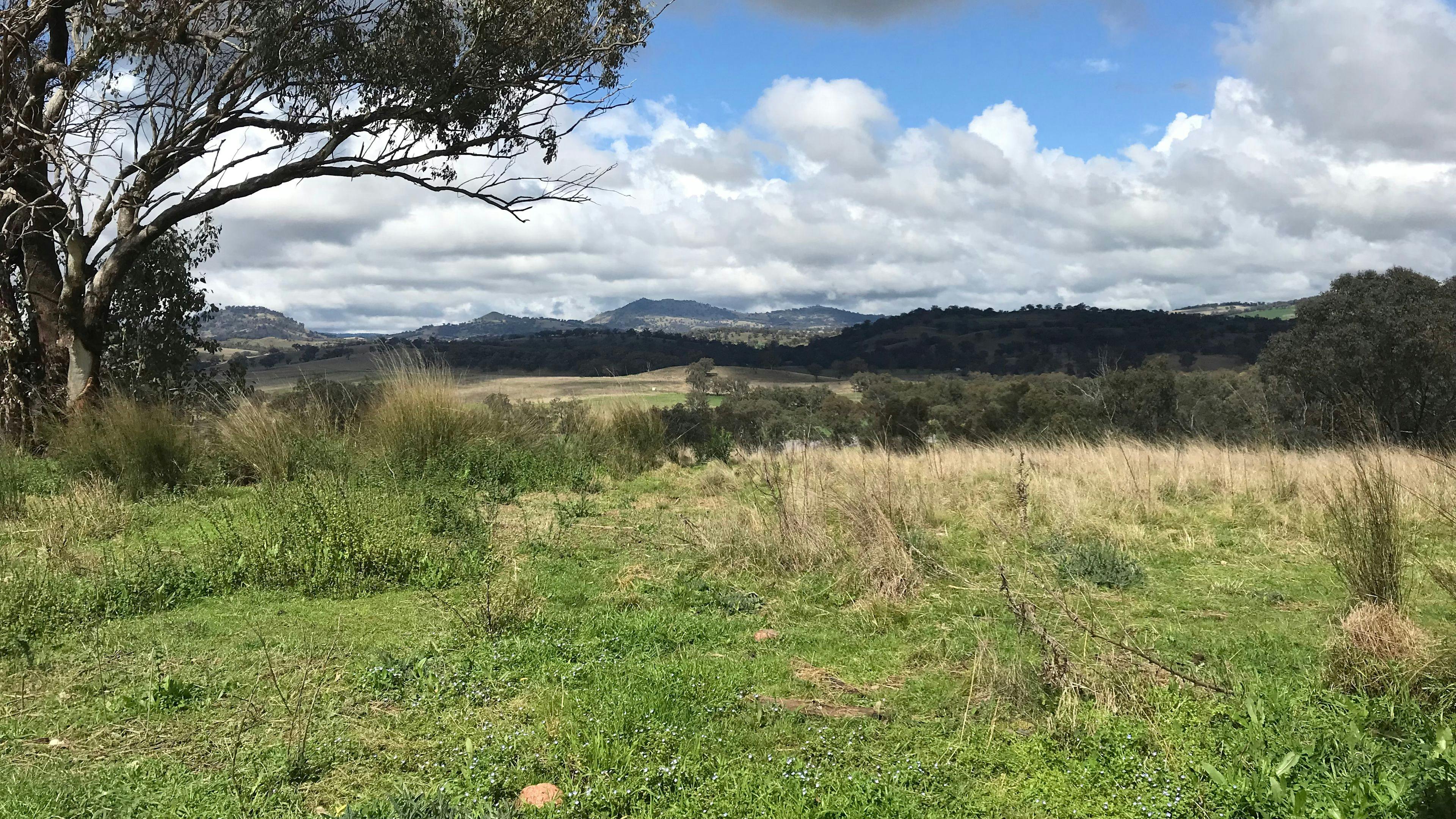 Kurrajong Farmstay